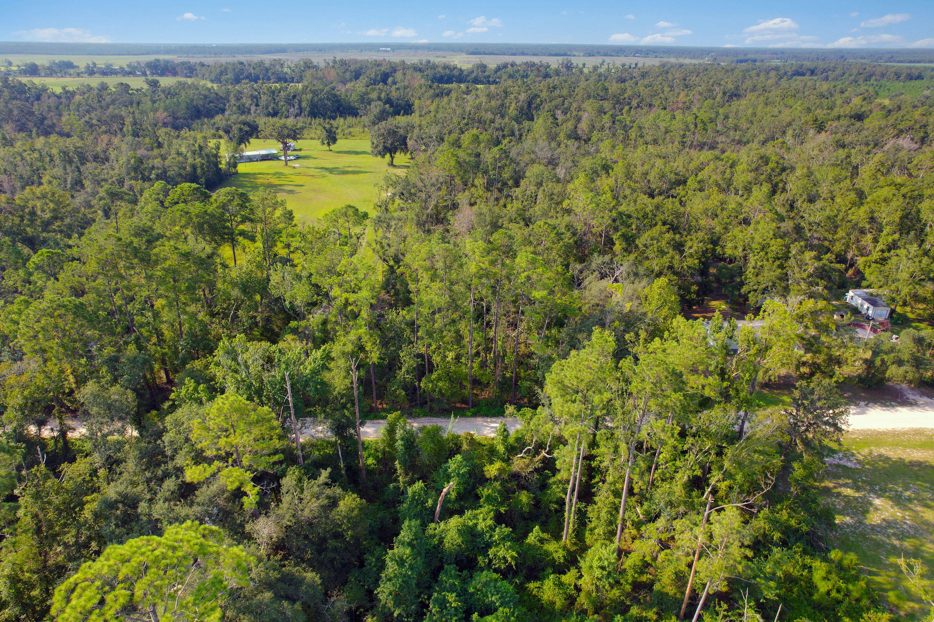 DJI_0207.jpg