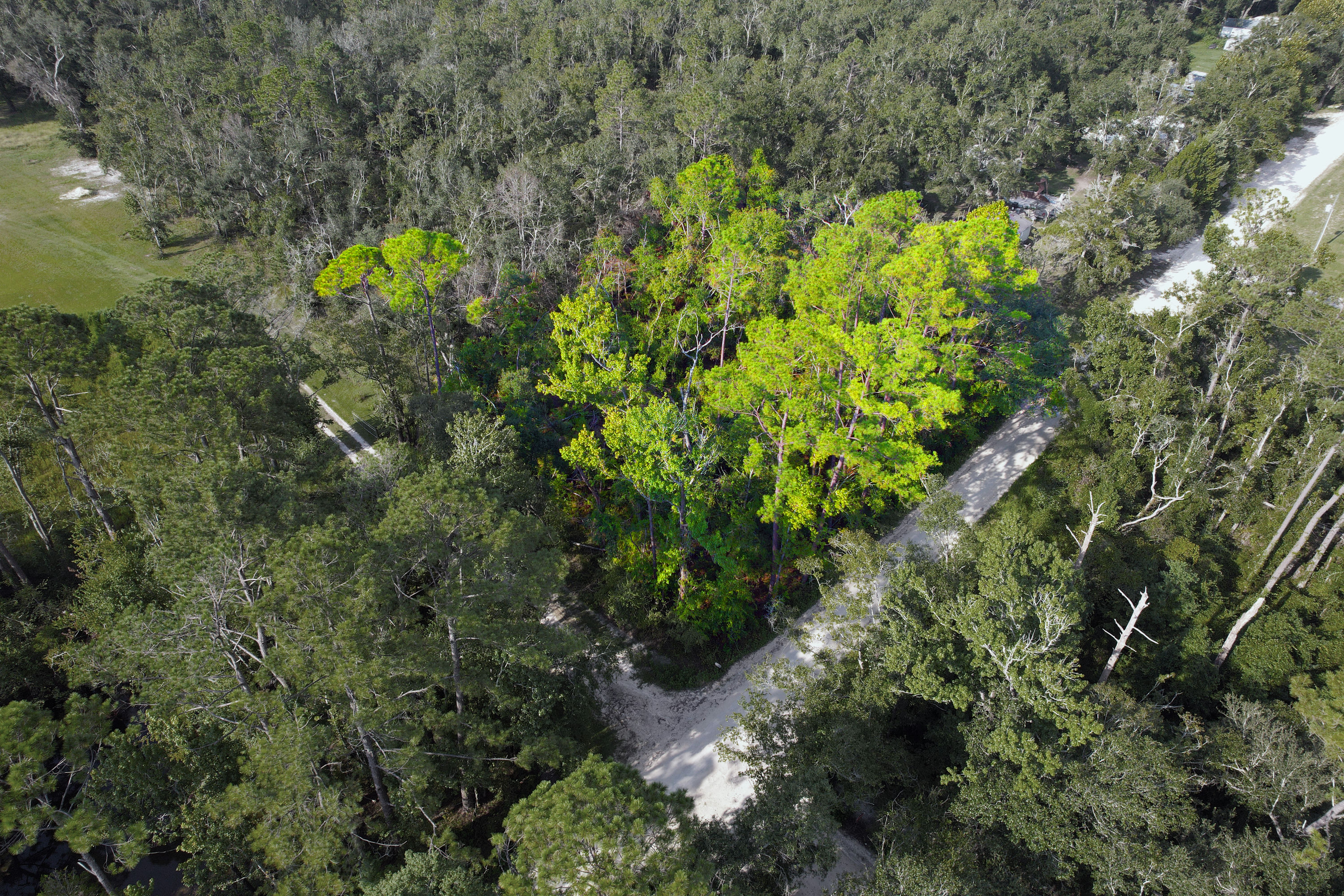 DJI_0215 washout.jpg