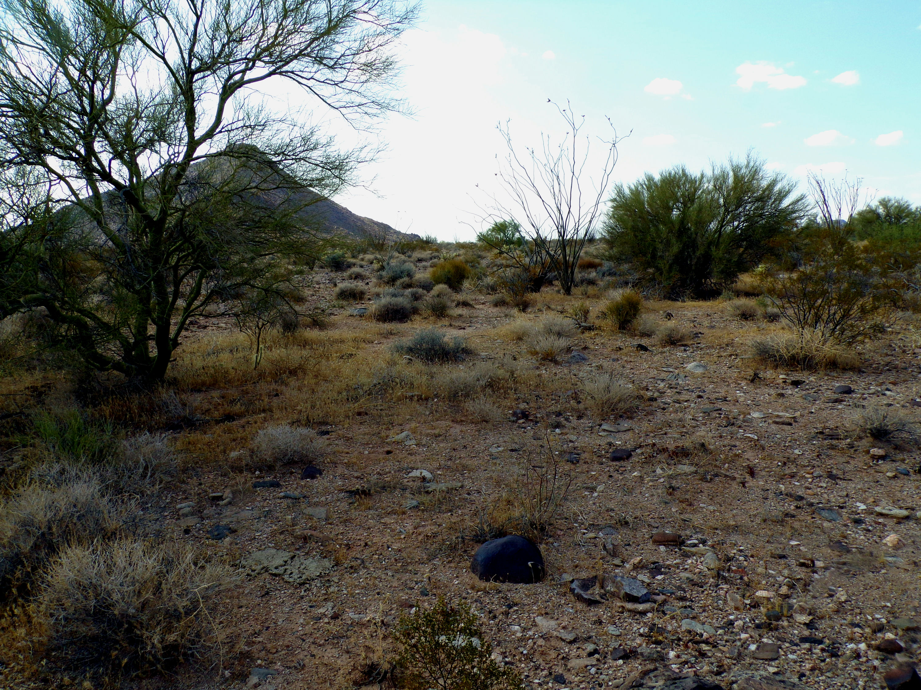 100_1338_DESERT.JPG