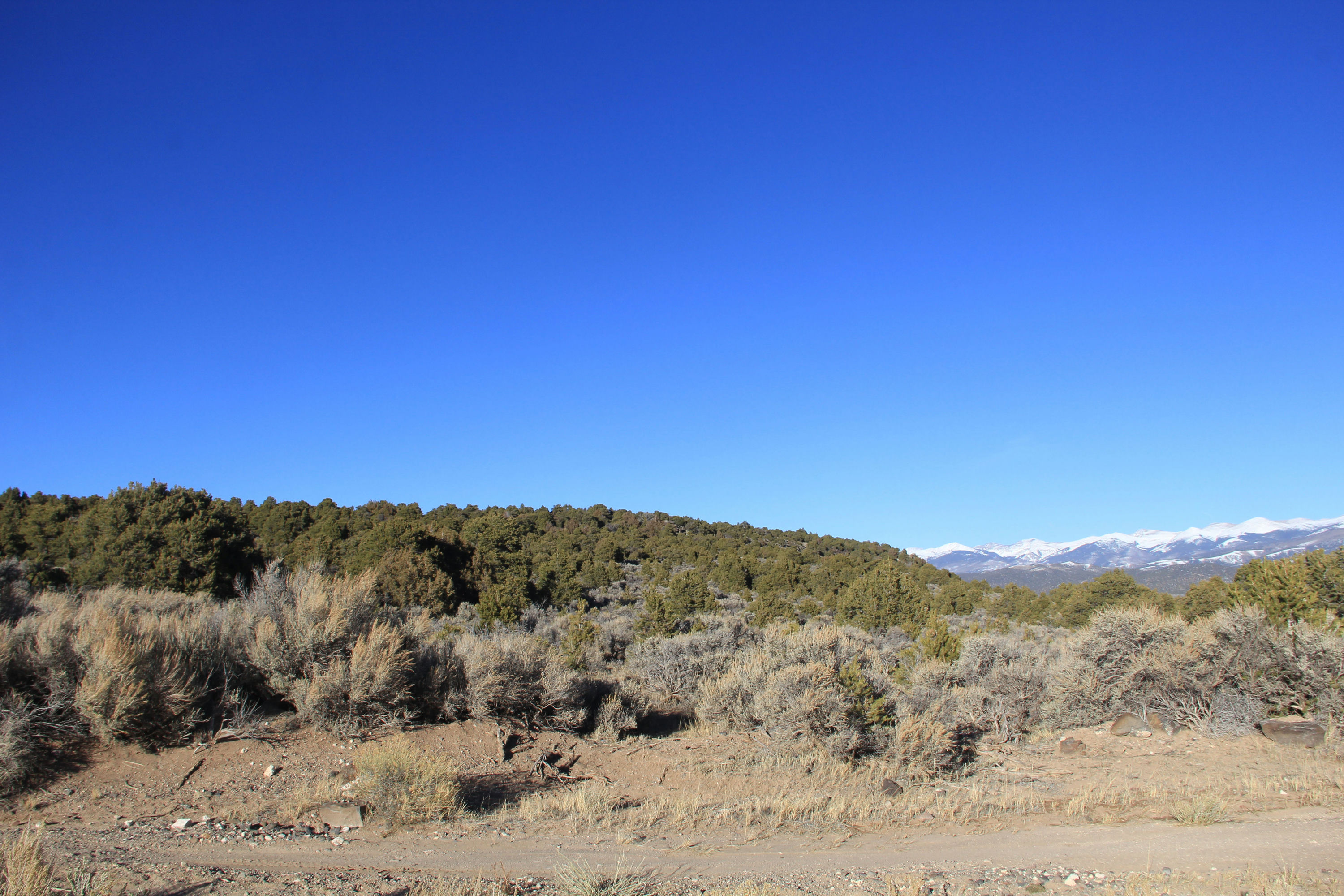 Lot from Road.JPG