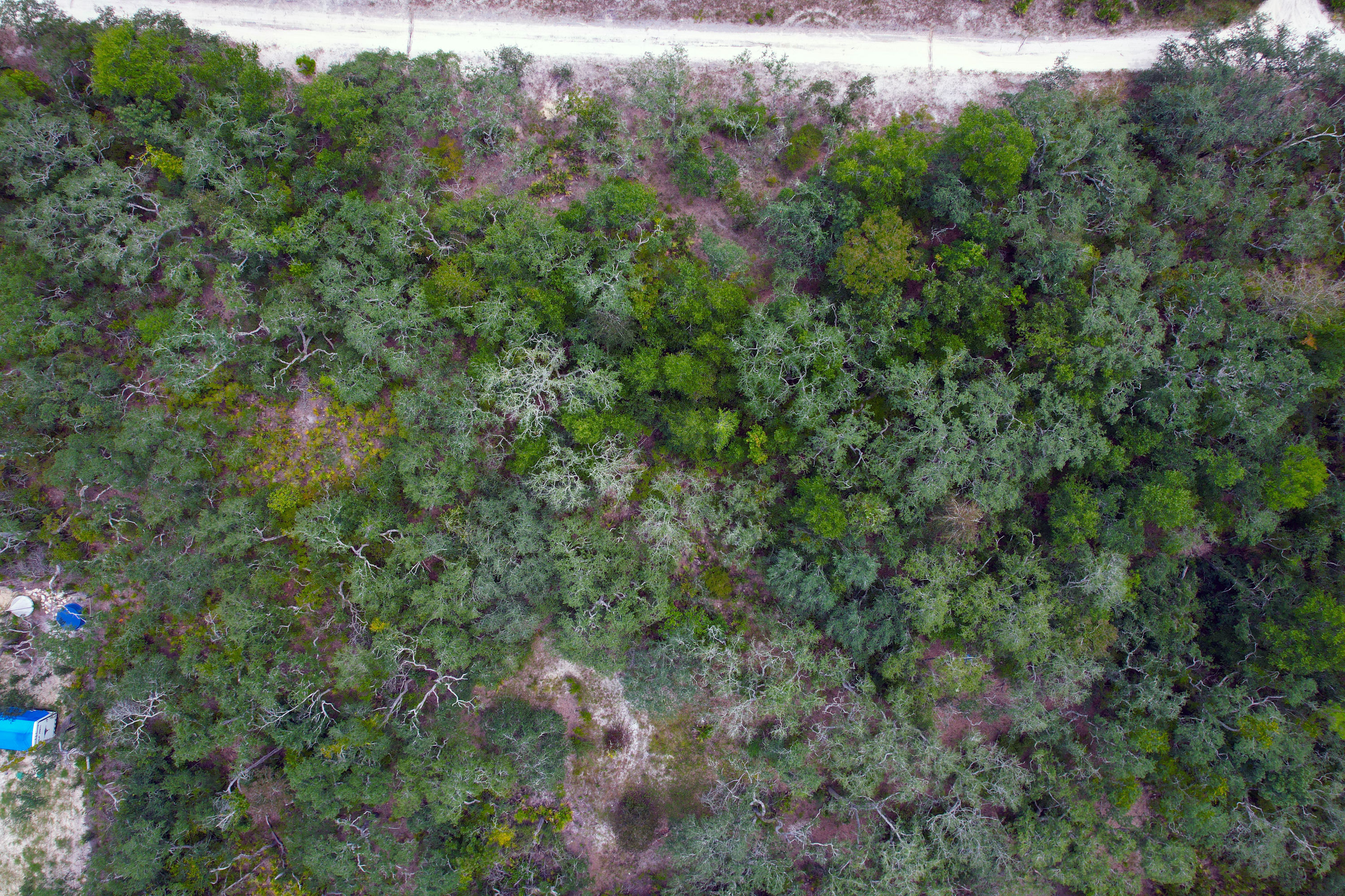 DJI_0576.jpg