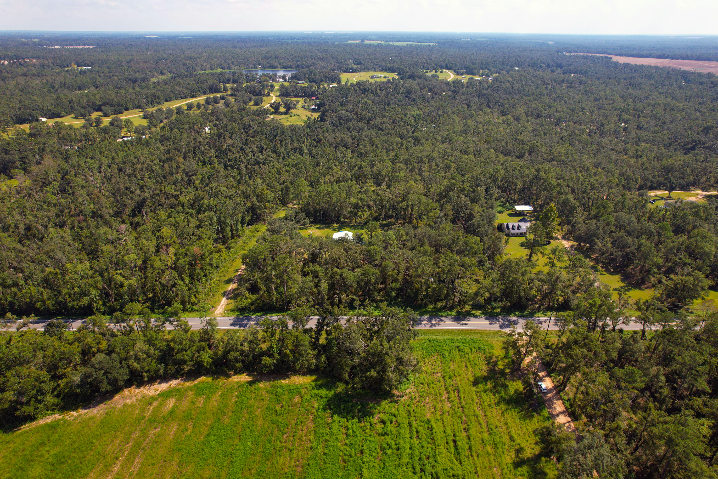 DJI_0783.jpg