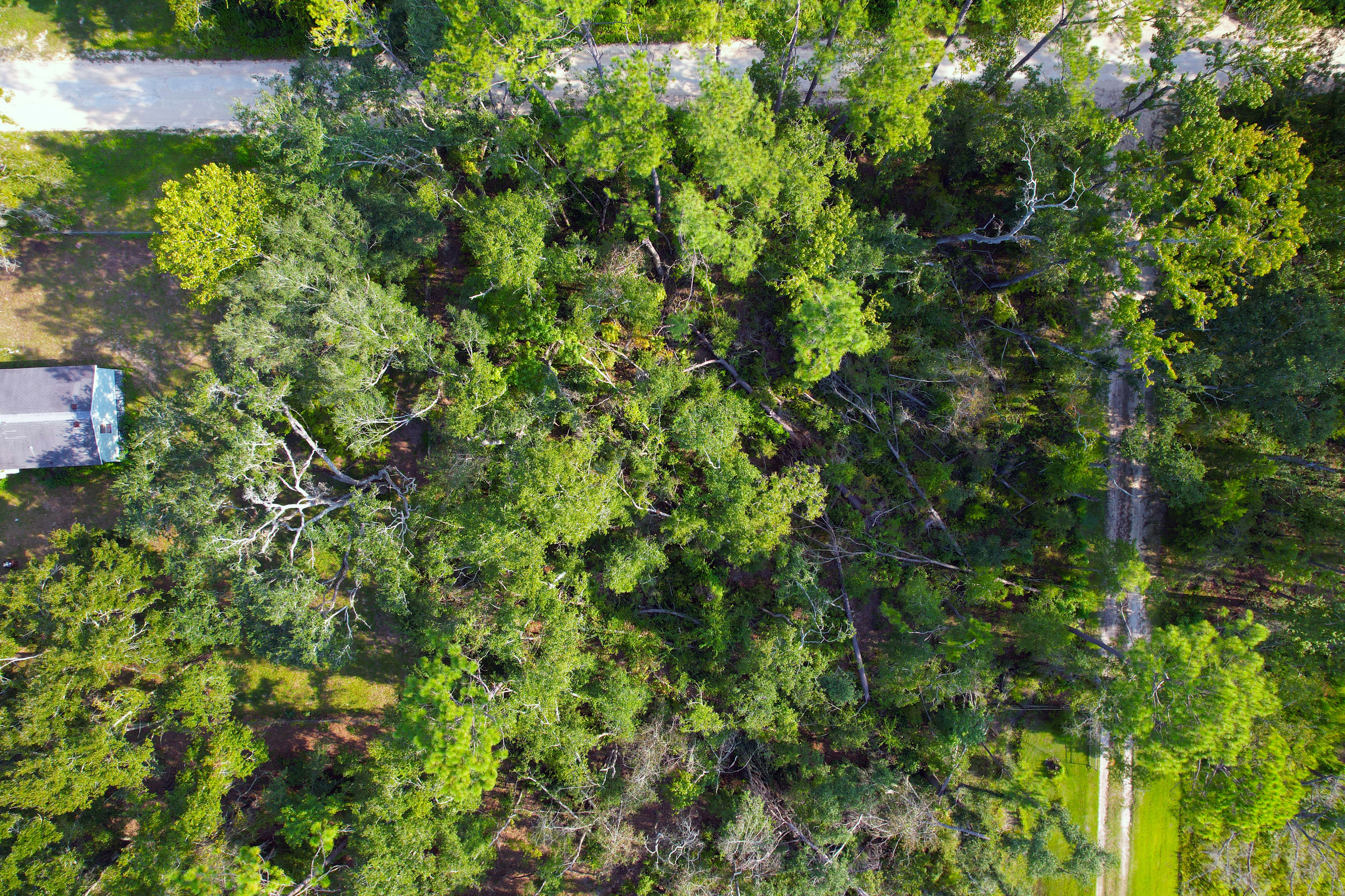 DJI_0231.jpg