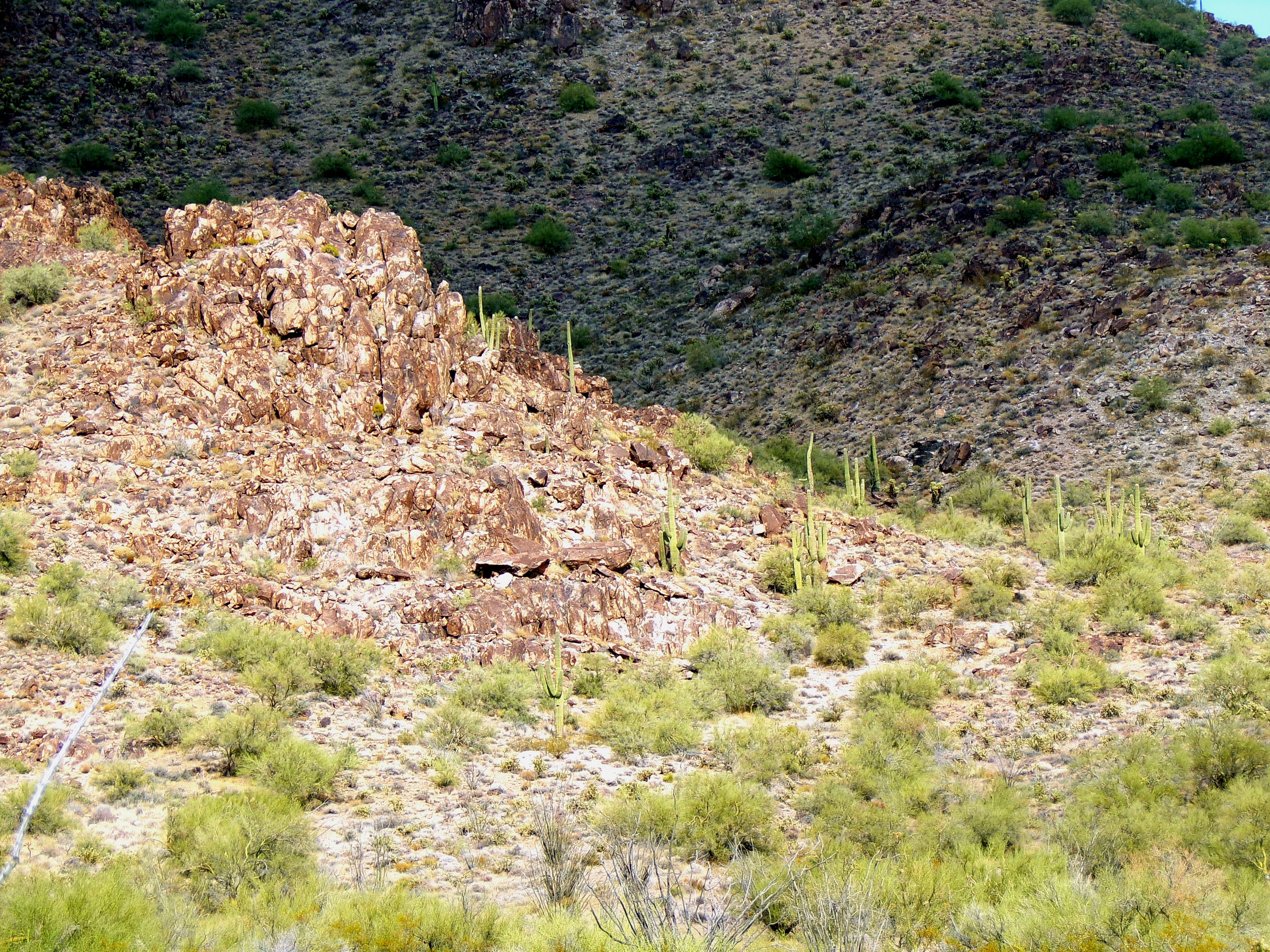 100_1346_DESERT.JPG