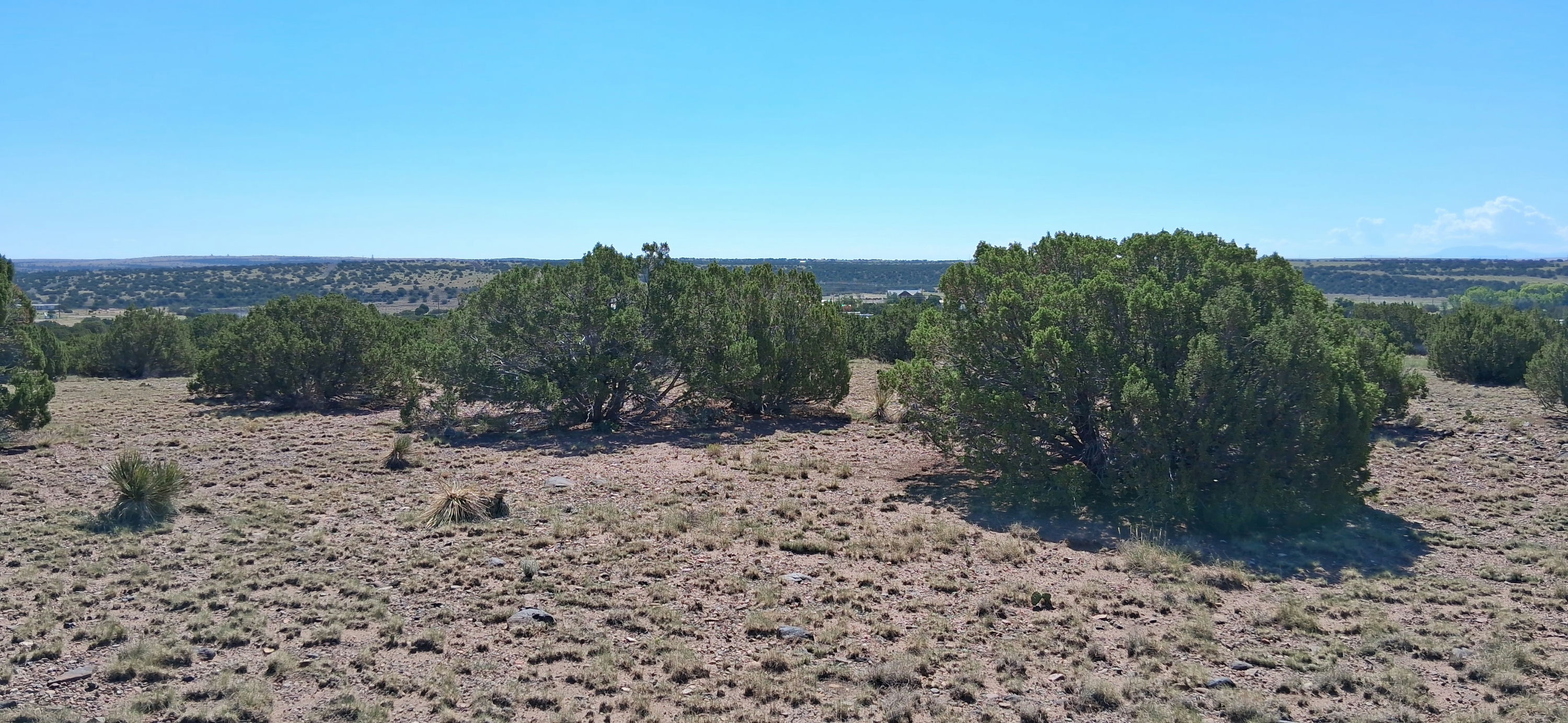 201-27-337-338 East view.jpg