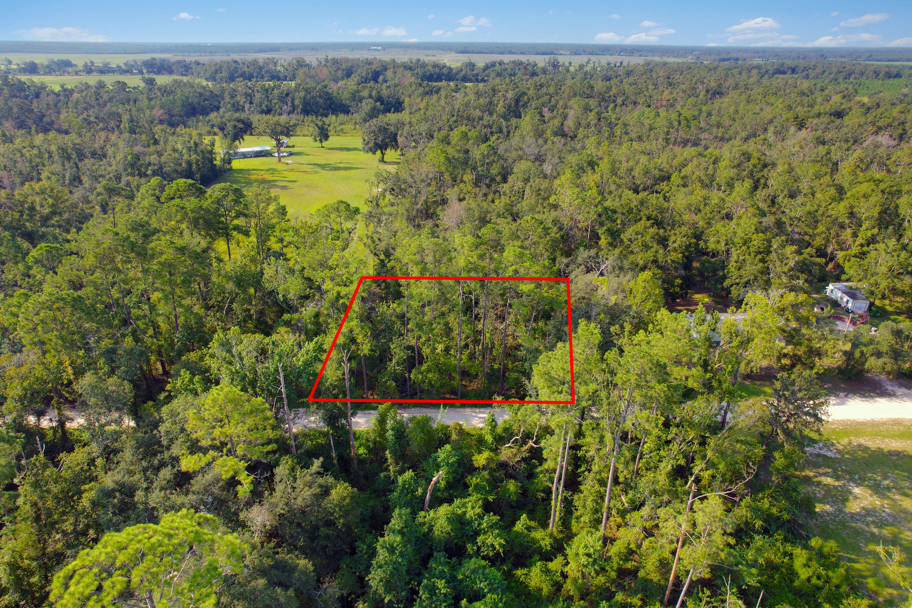 DJI_0207 lotlines.jpg