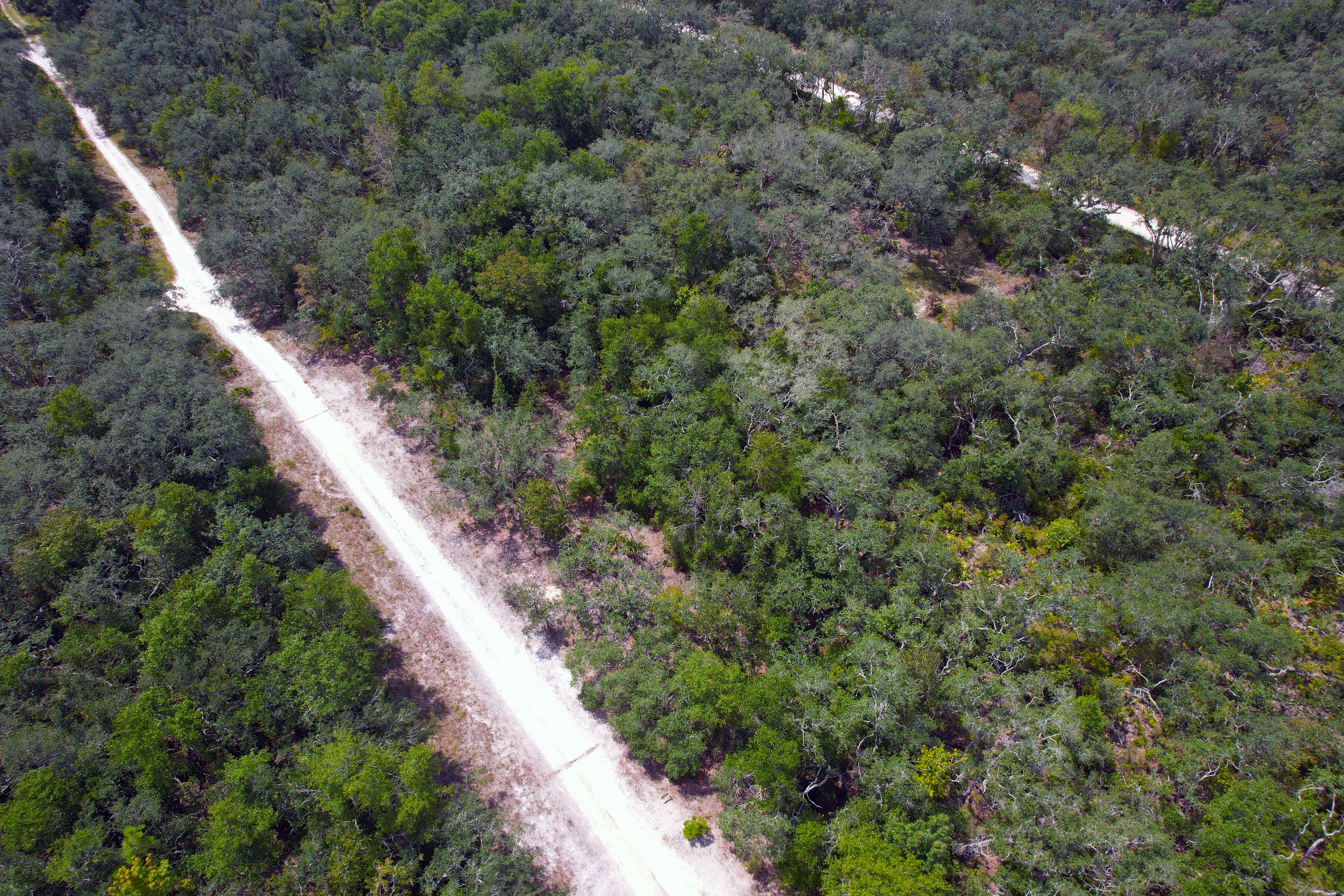DJI_0561.jpg