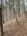 carousel-thumb-6