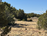 carousel-thumb-12