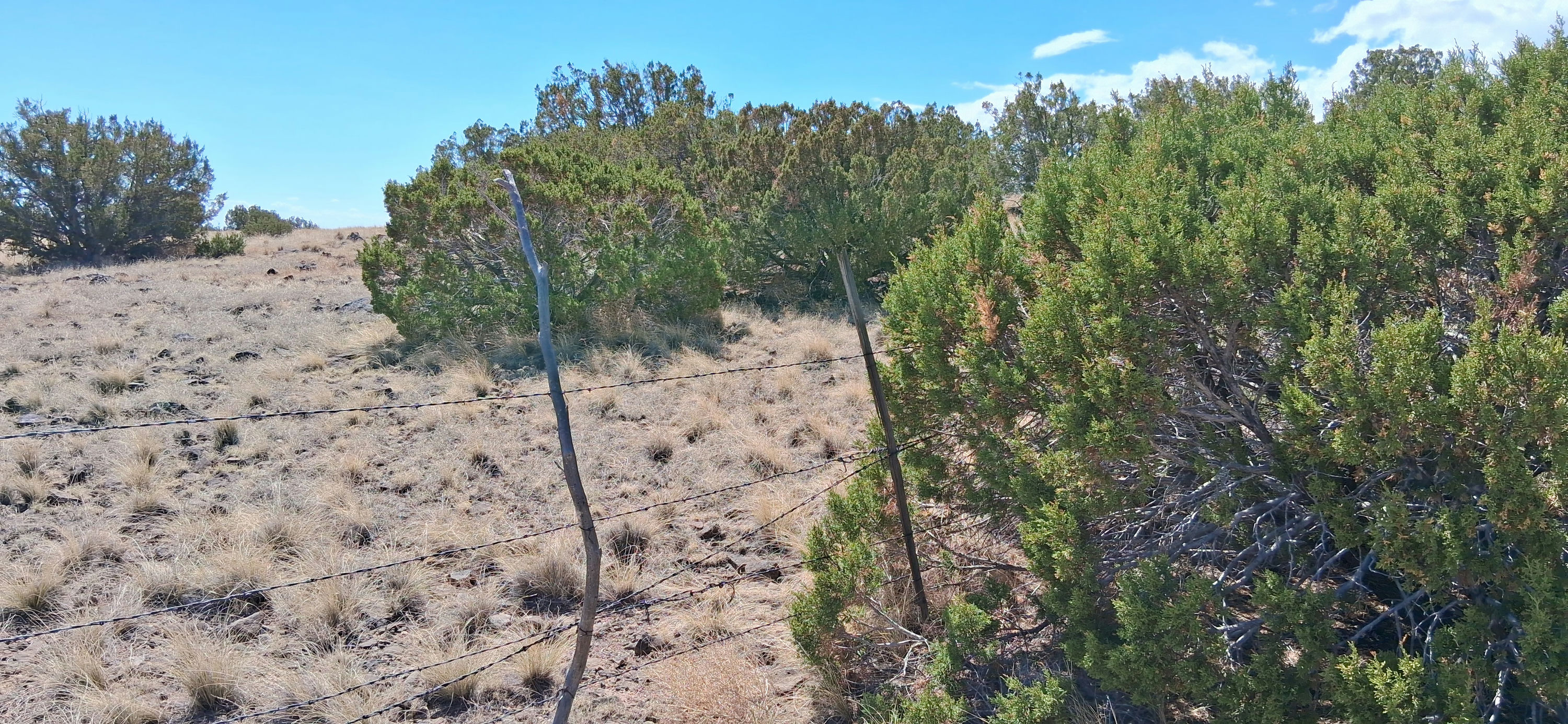 201-40-002B-C SE view from SE corner.jpg