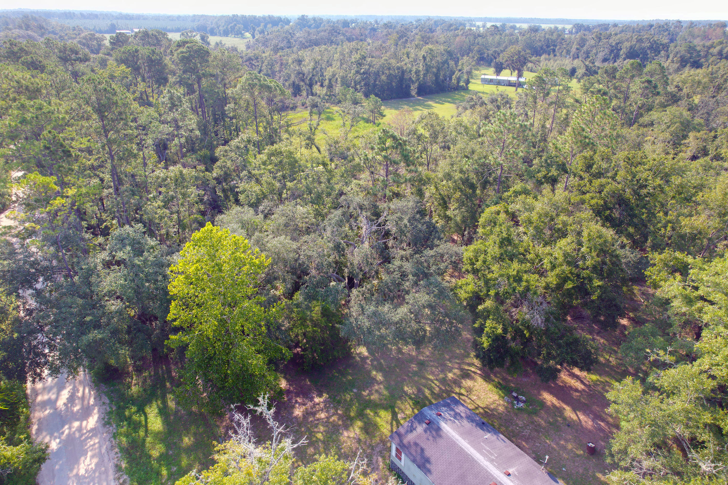 DJI_0204.jpg
