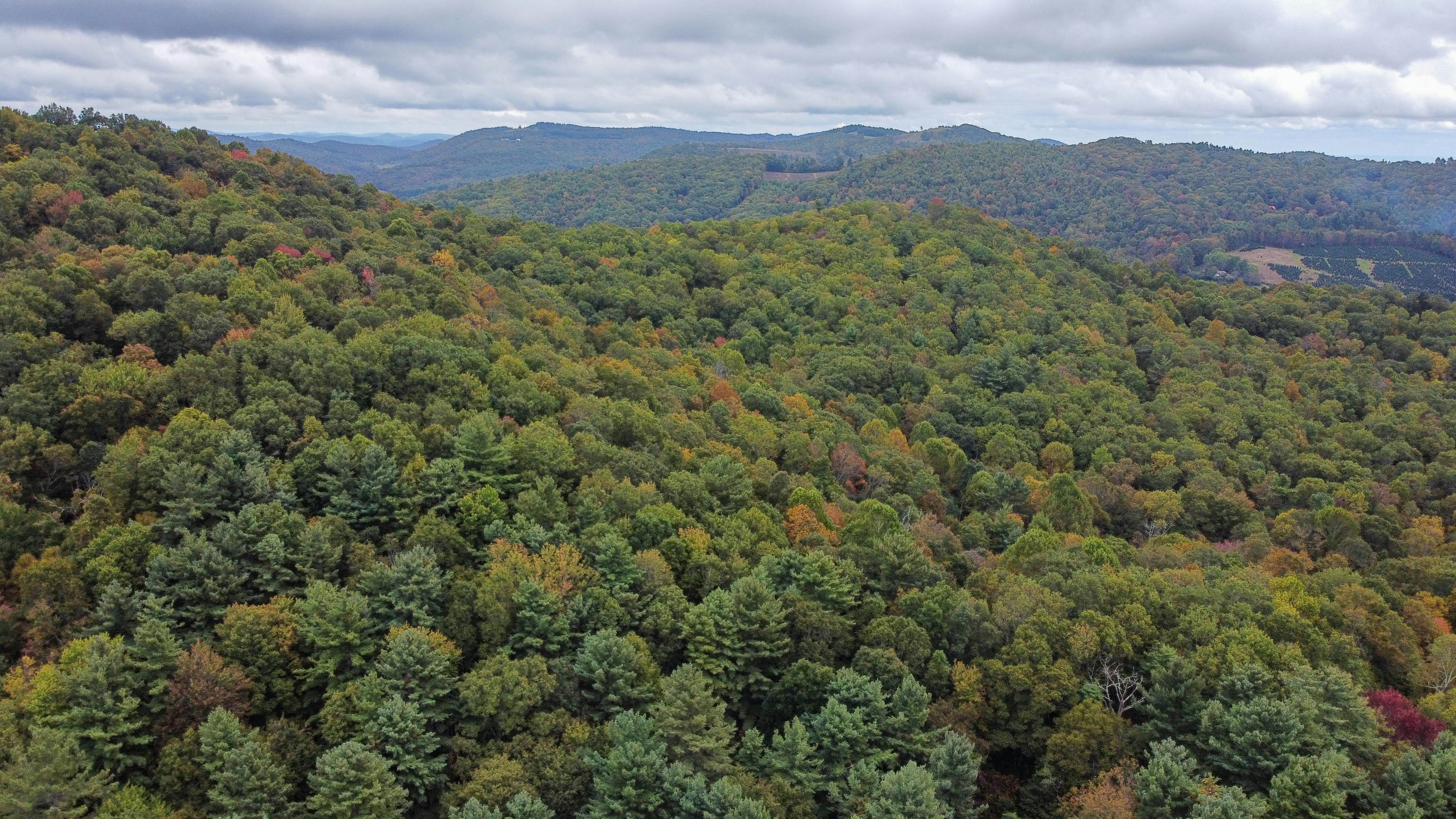 Copy of Pine-Knoll-Drone-2.jpg