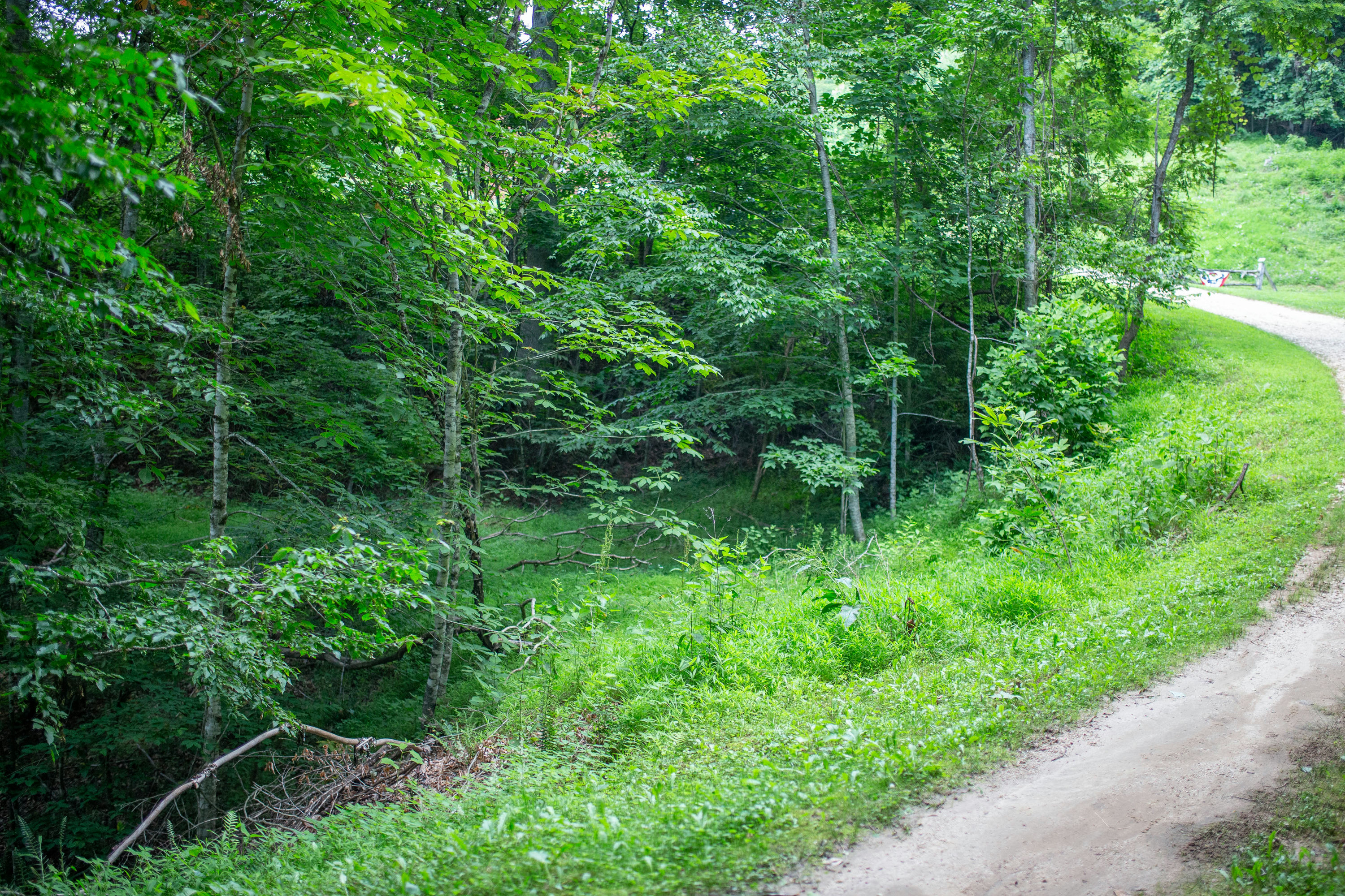250807_KlinkTrail_2.jpg