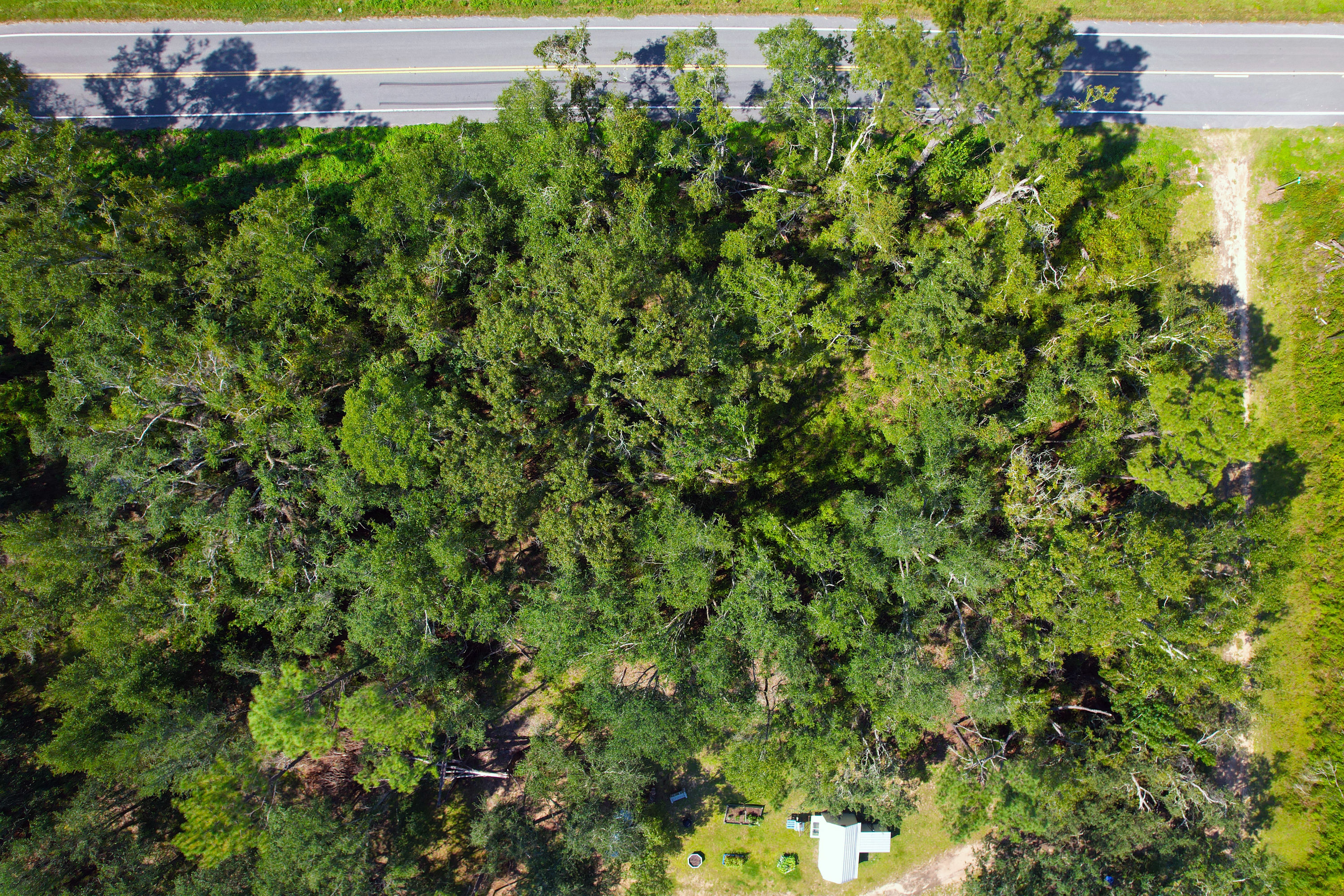 DJI_0798.jpg