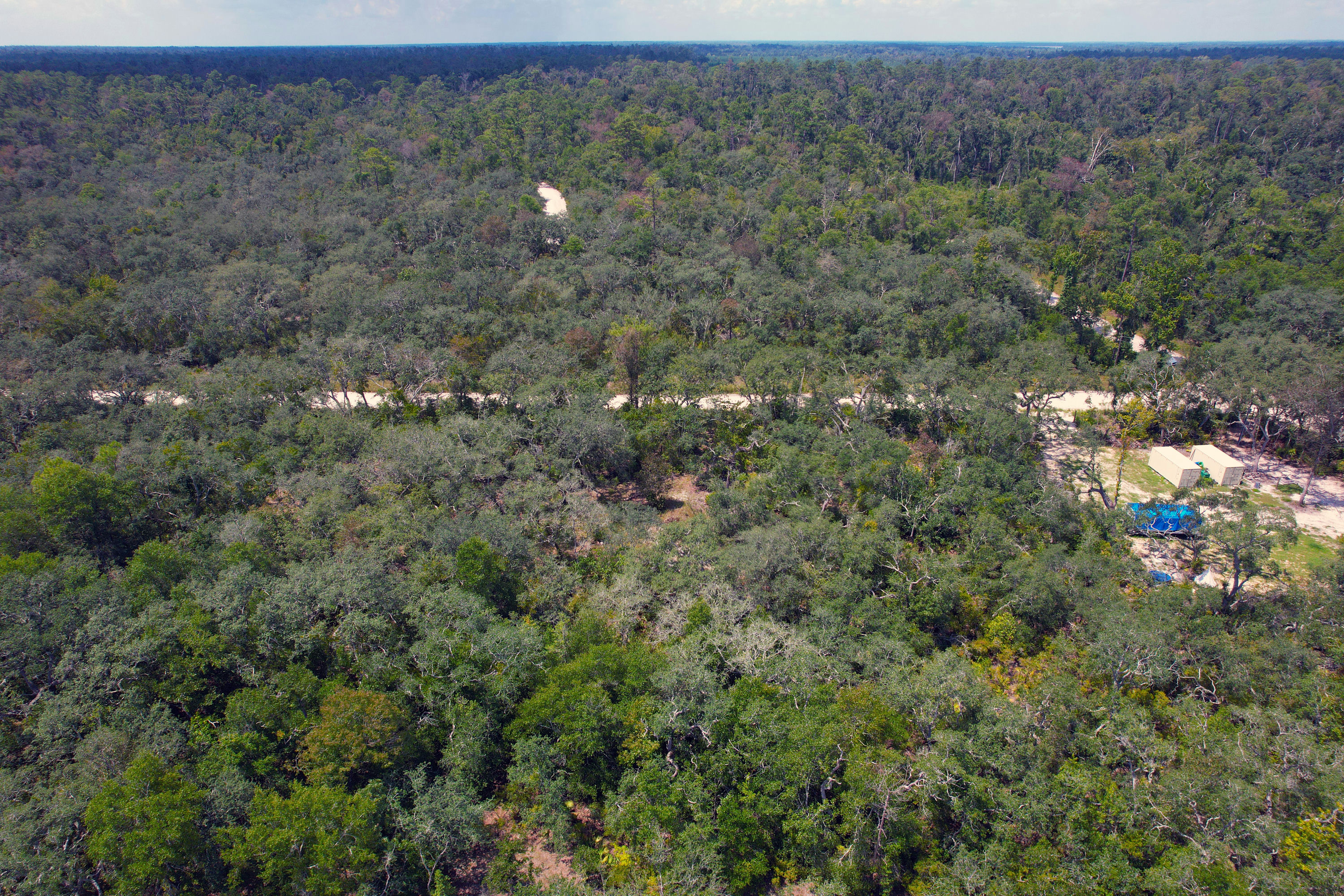 DJI_0599.jpg