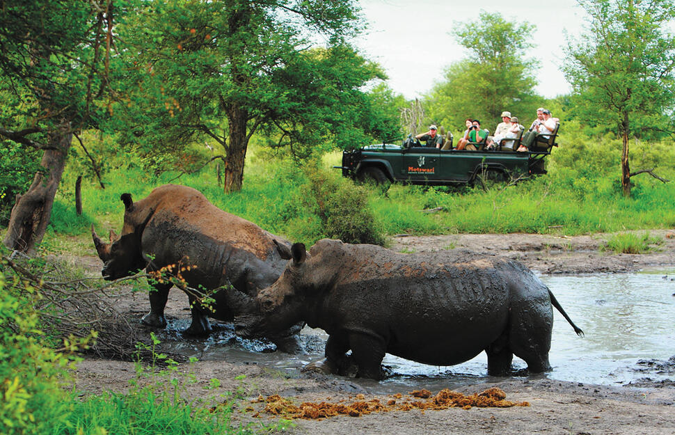 Motswari-Private-Game-Reserve-13.jpg