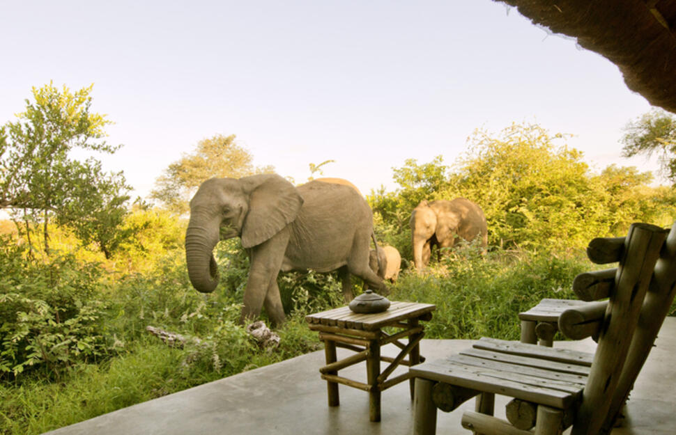 Motswari-Private-Game-Reserve-11.jpg