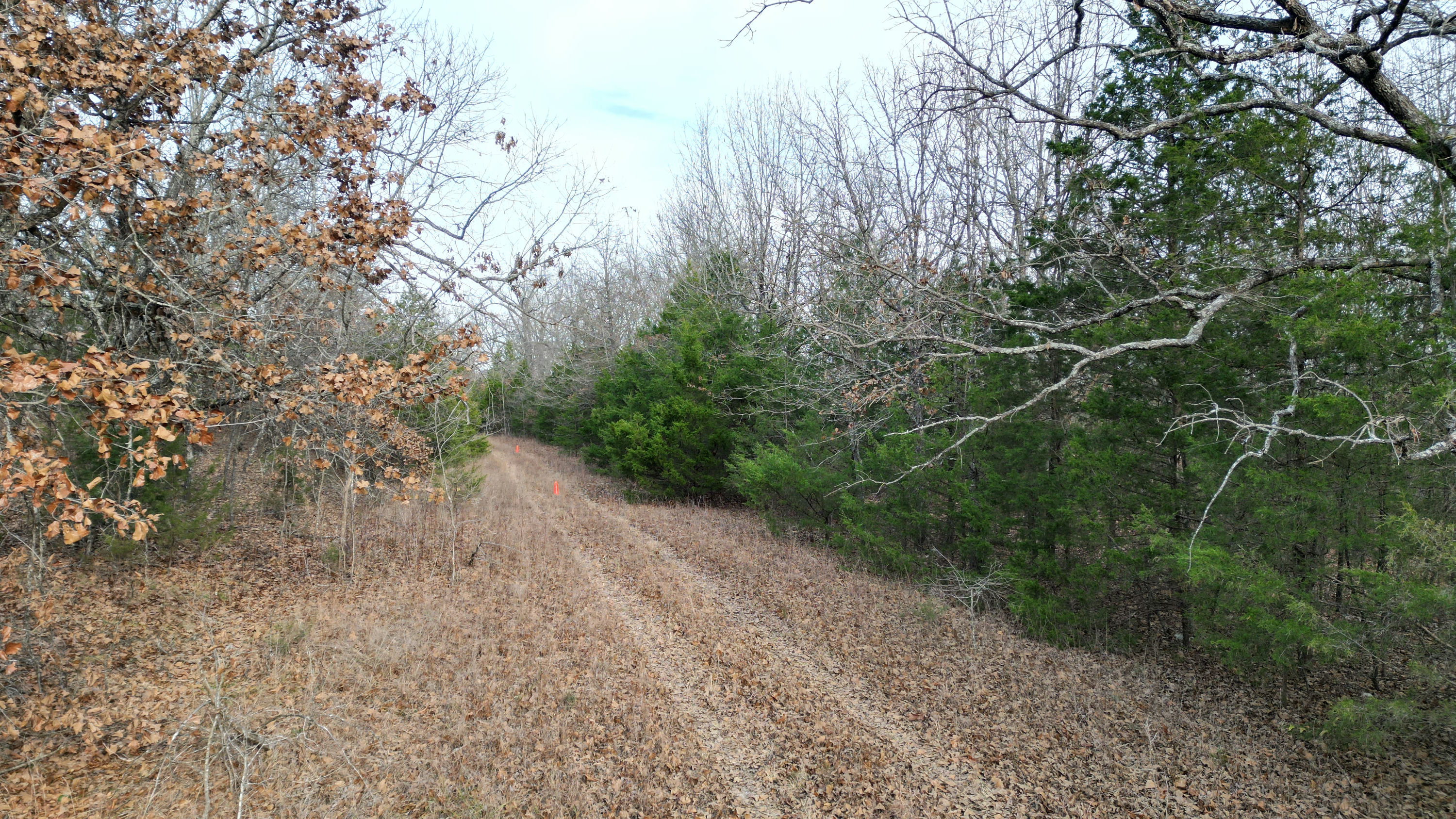 DJI_0995.JPG