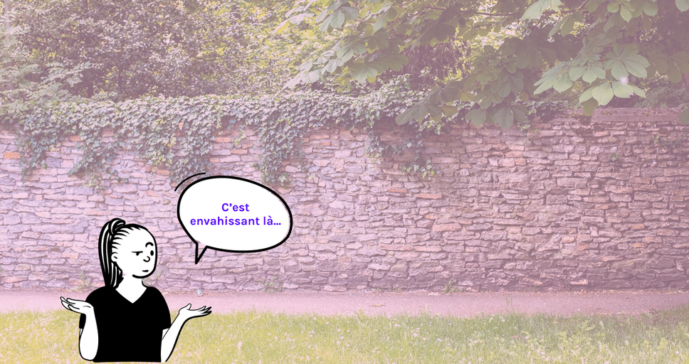 Voisinage et haie mitoyenne : quand ça devient envahissant...