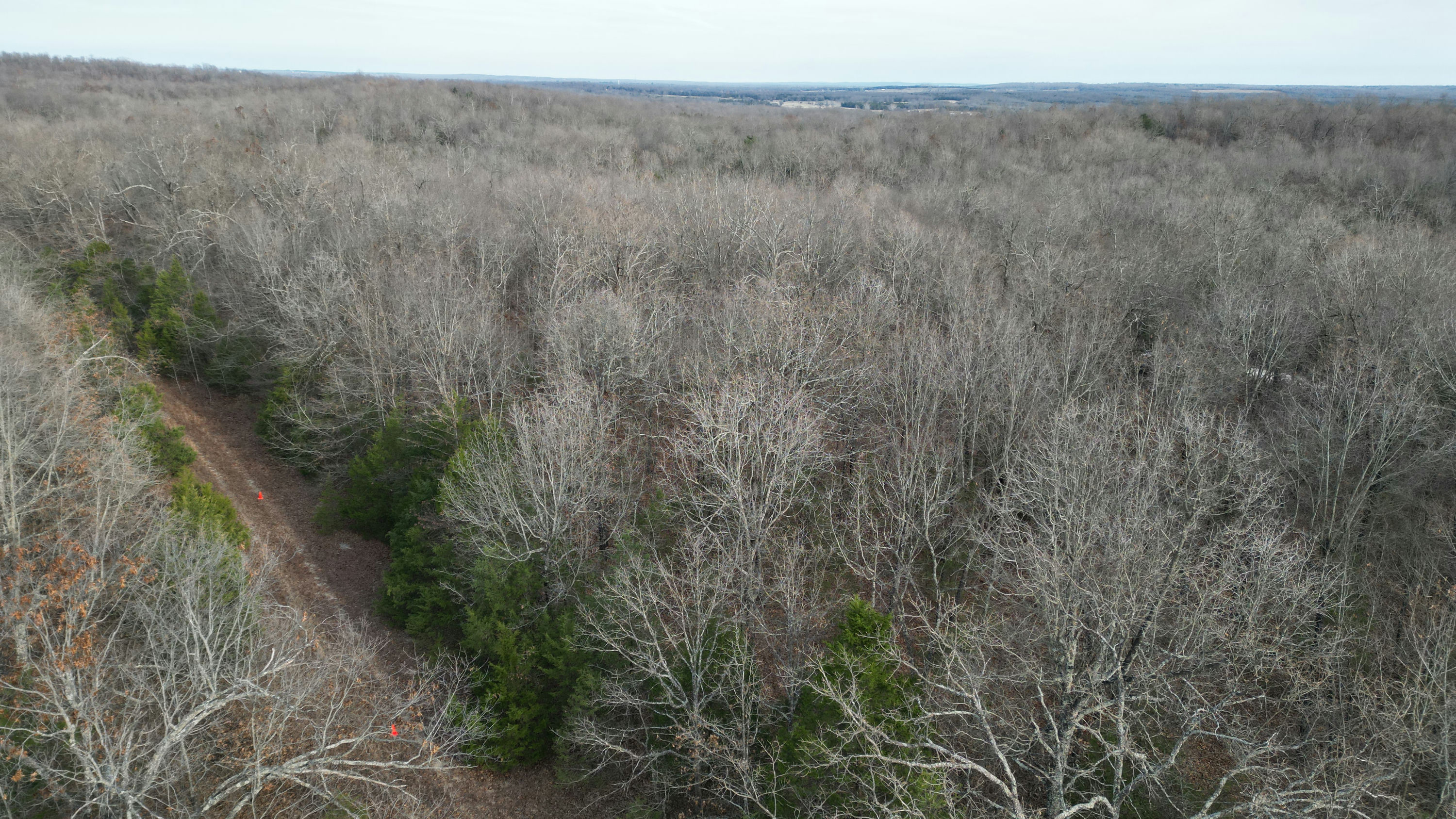 DJI_0004.JPG