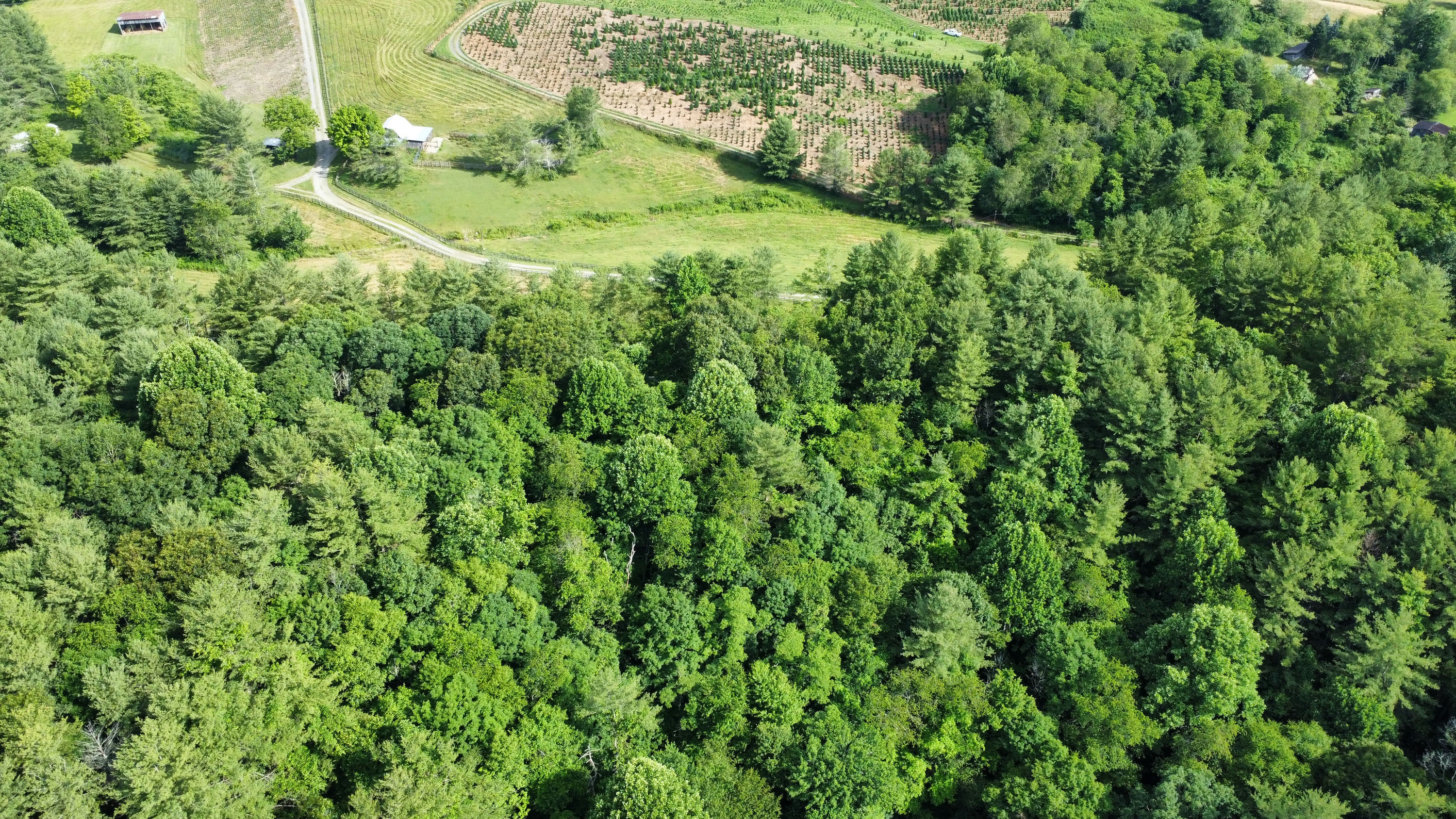 AV_27_Aerial_View_Of_River_Winding_Through_Forest_And_Mountains.jpeg