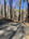 carousel-thumb-7