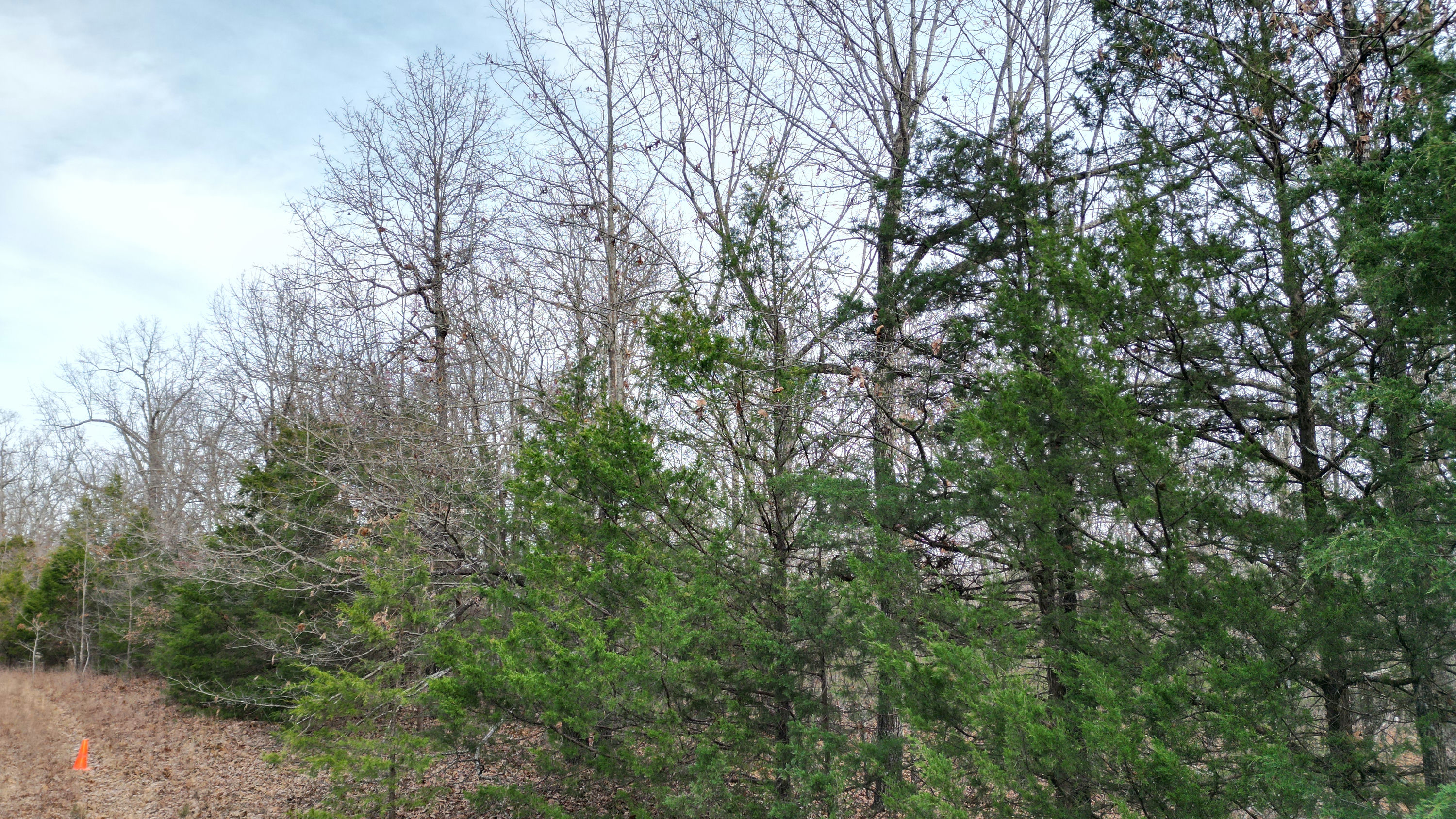 DJI_0008.JPG