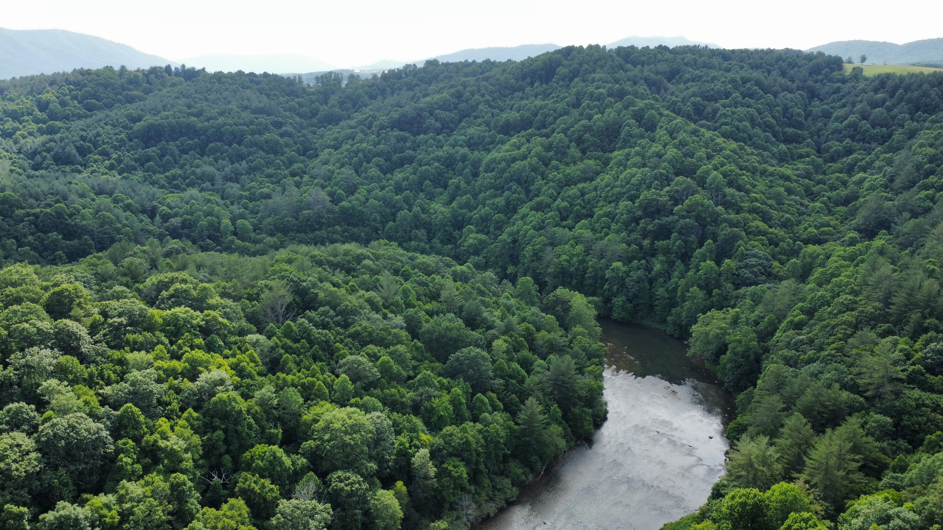 AV_27_River_Valley_Forest.jpeg