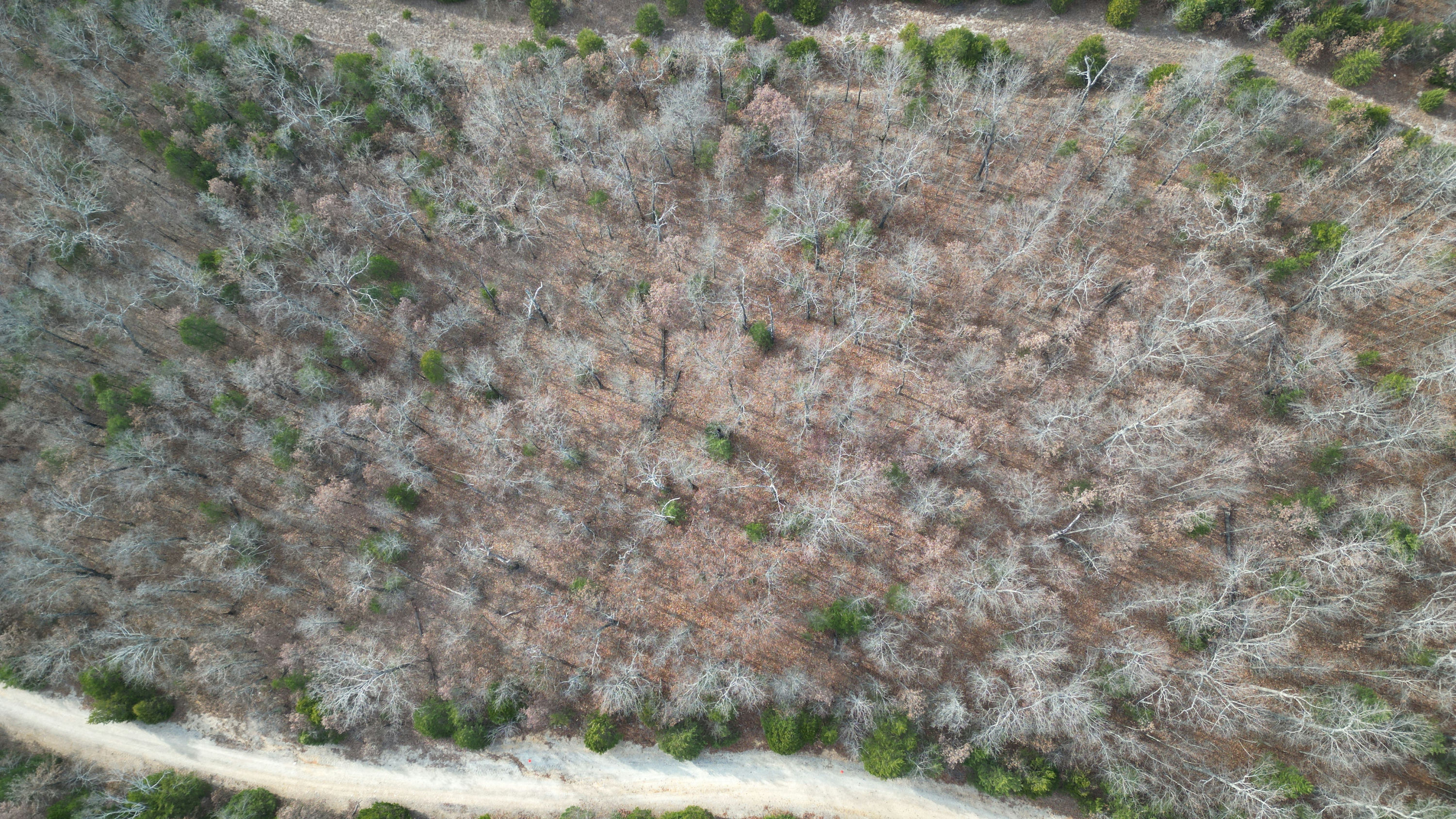 DJI_0985.JPG