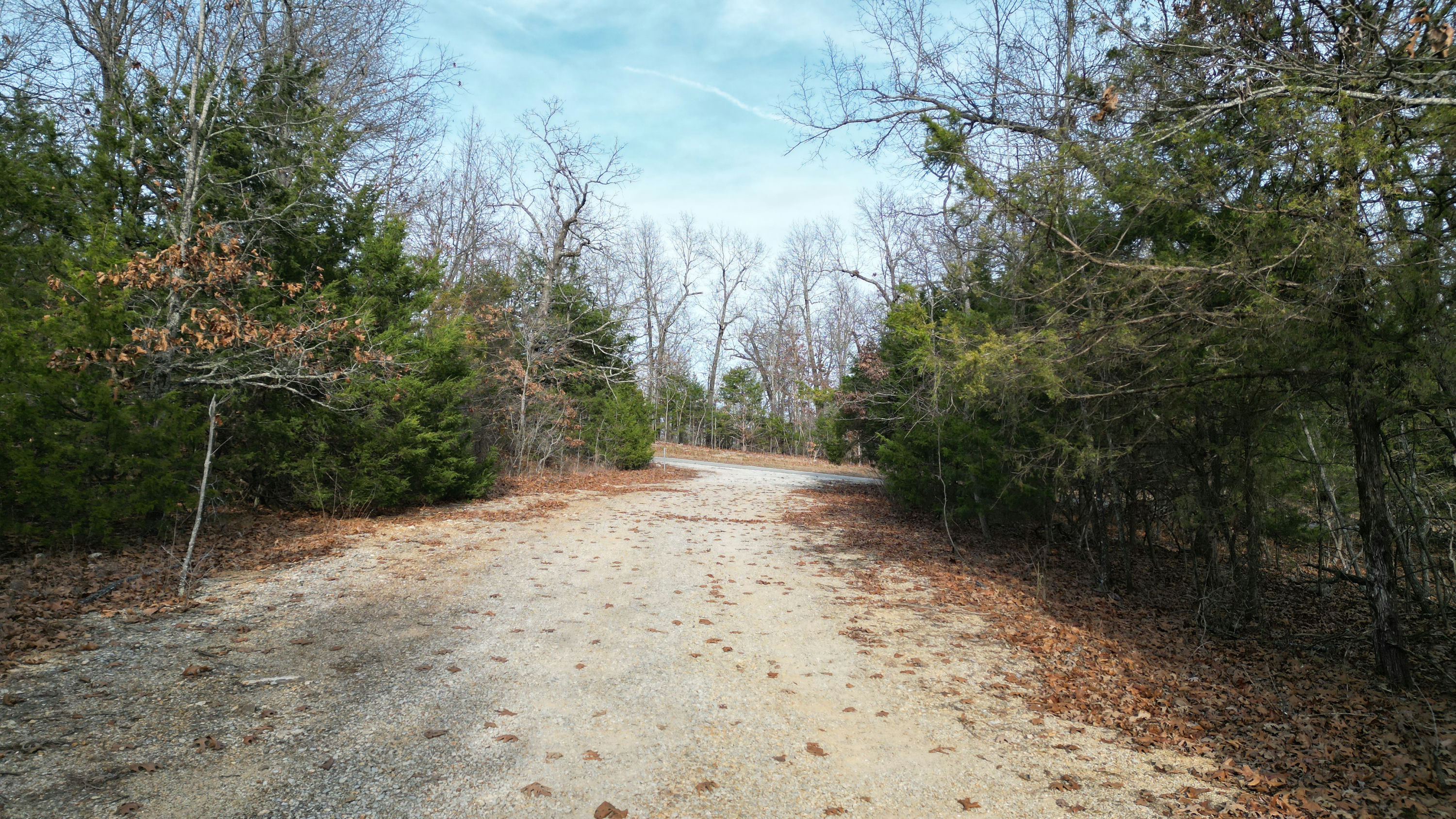 DJI_0981.JPG