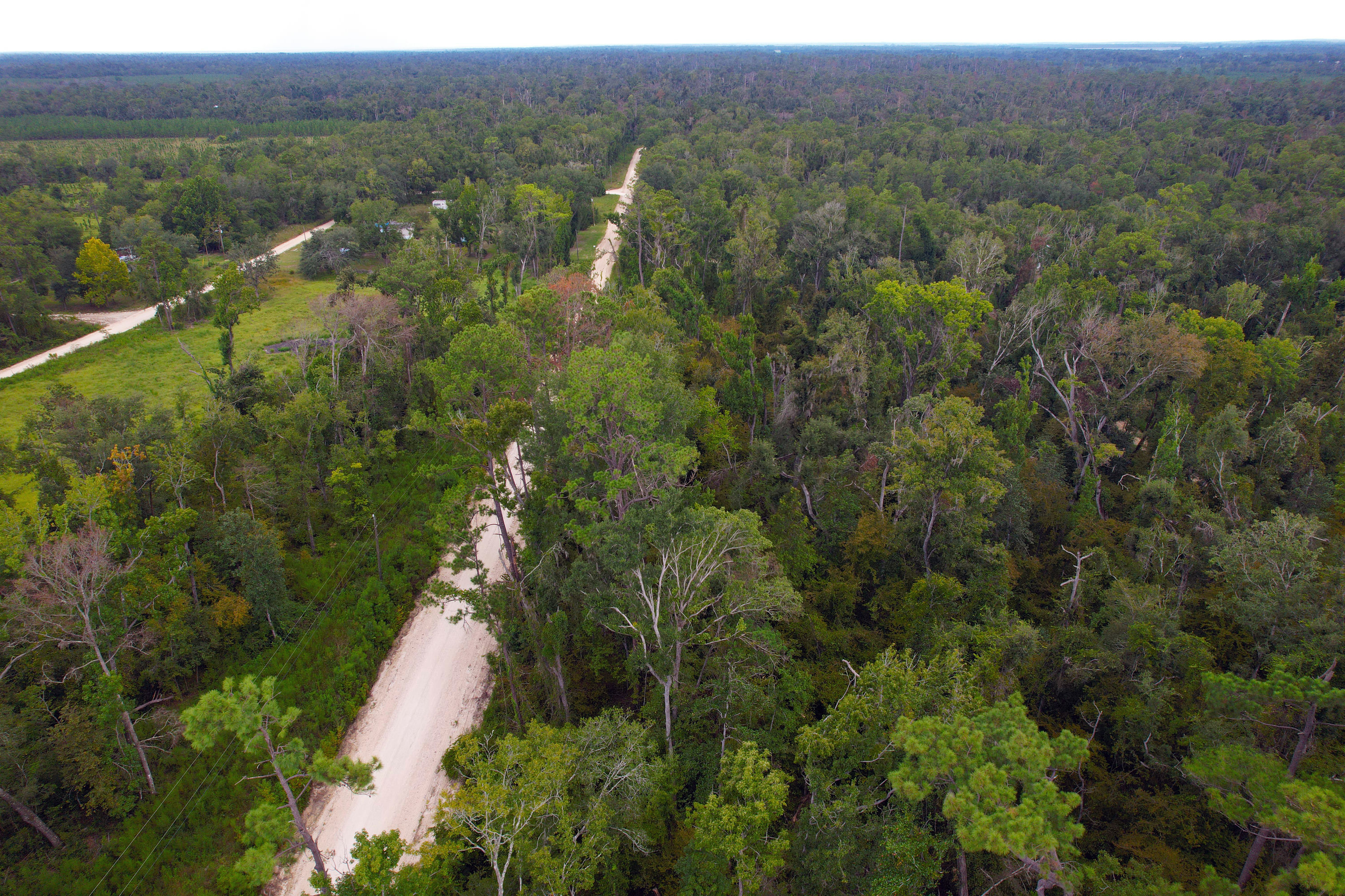 DJI_0681.jpg
