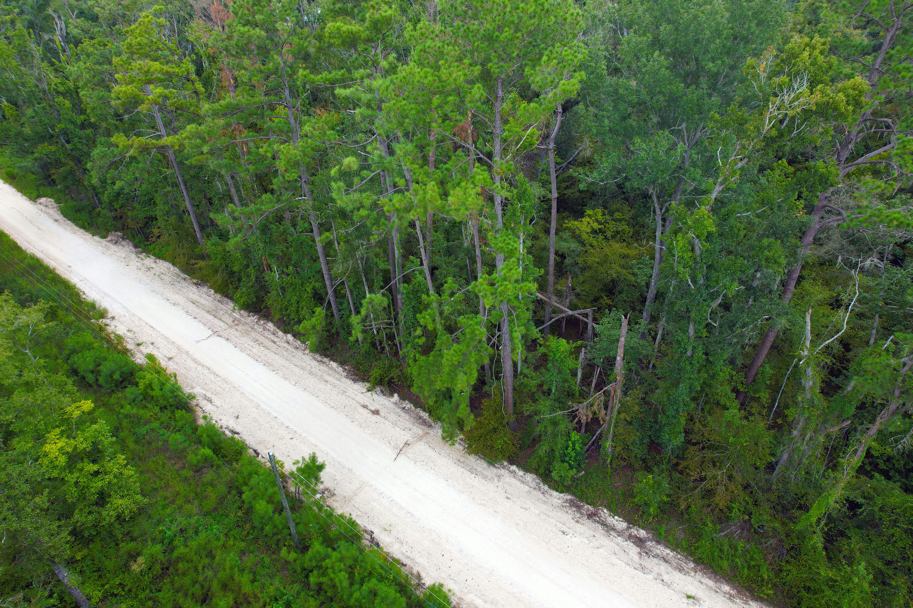 DJI_0677.jpg
