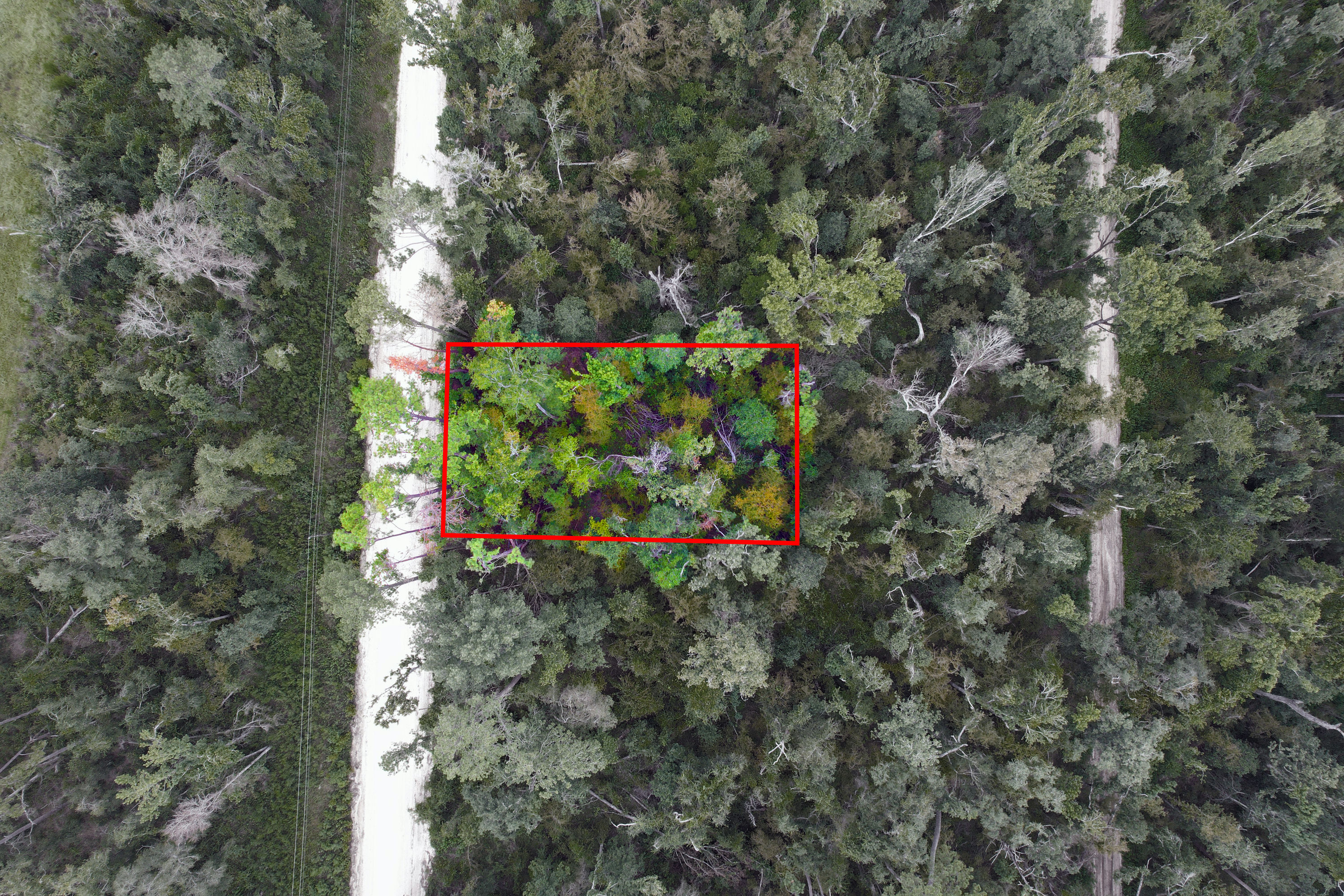 DJI_0702 lotlines washout.jpg