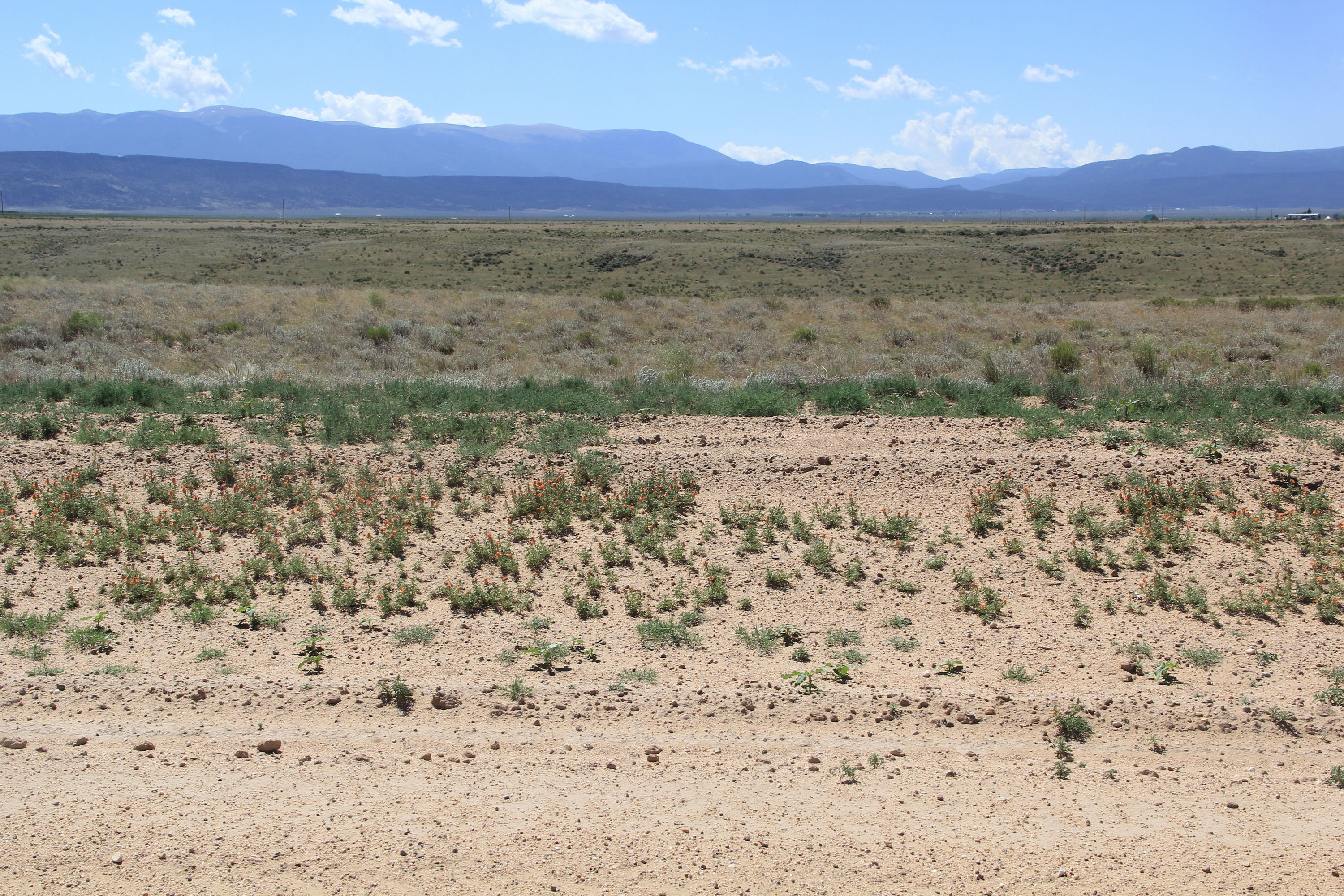 Lot from Road.JPG