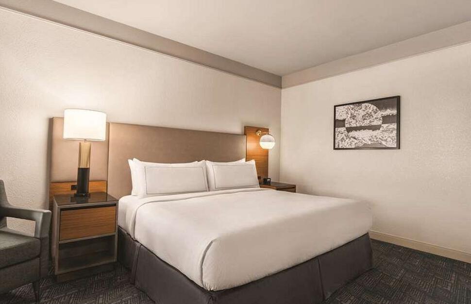 DoubleTree-by-Hilton-Tampa-Rocky-P-12.jpg
