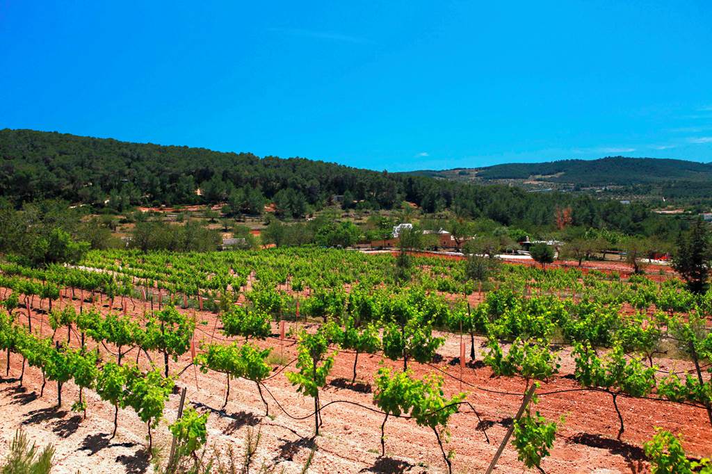 IBZ_73610_Can_Lluc_Boutique_Hotel_1024_02.jpg