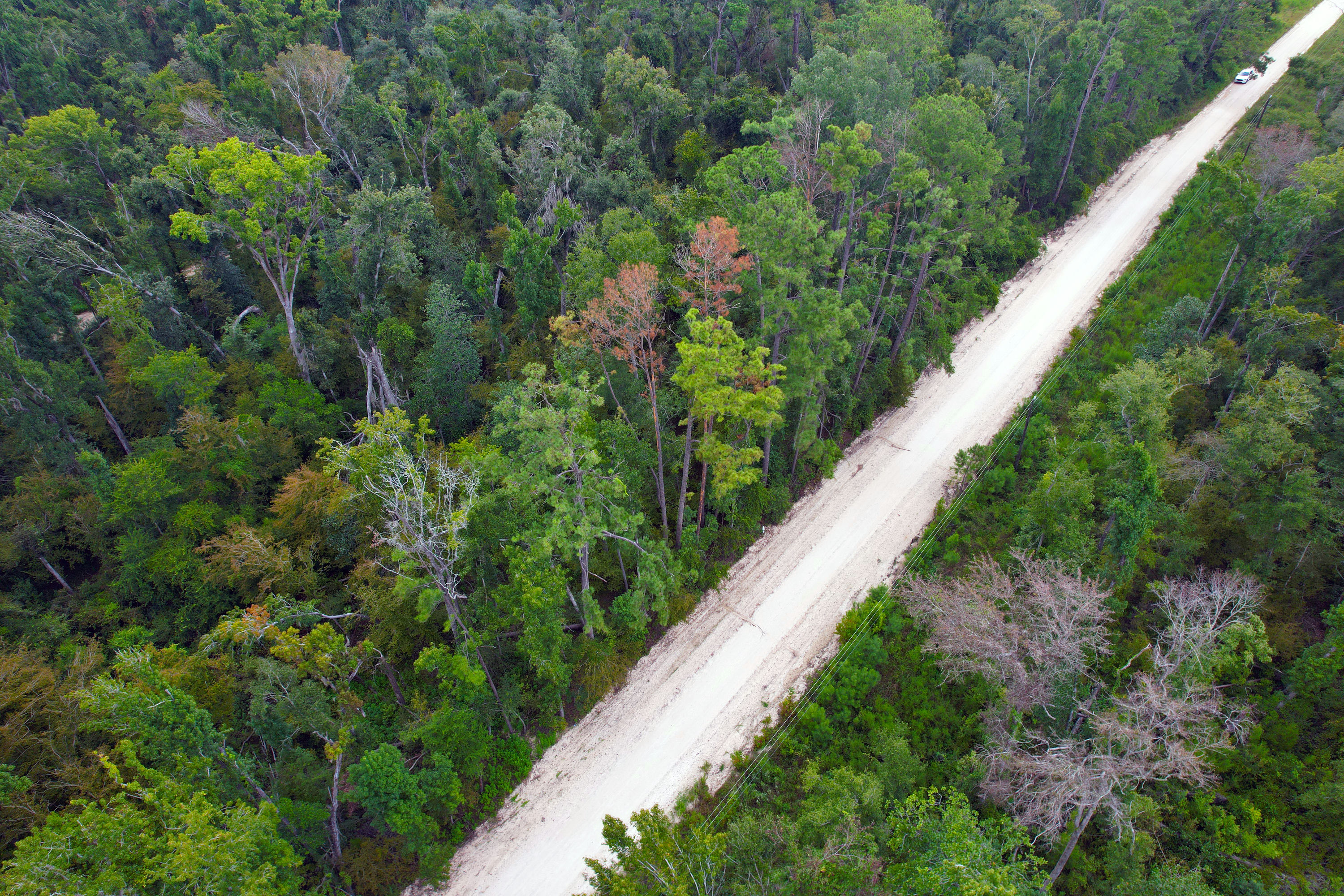 DJI_0687.jpg