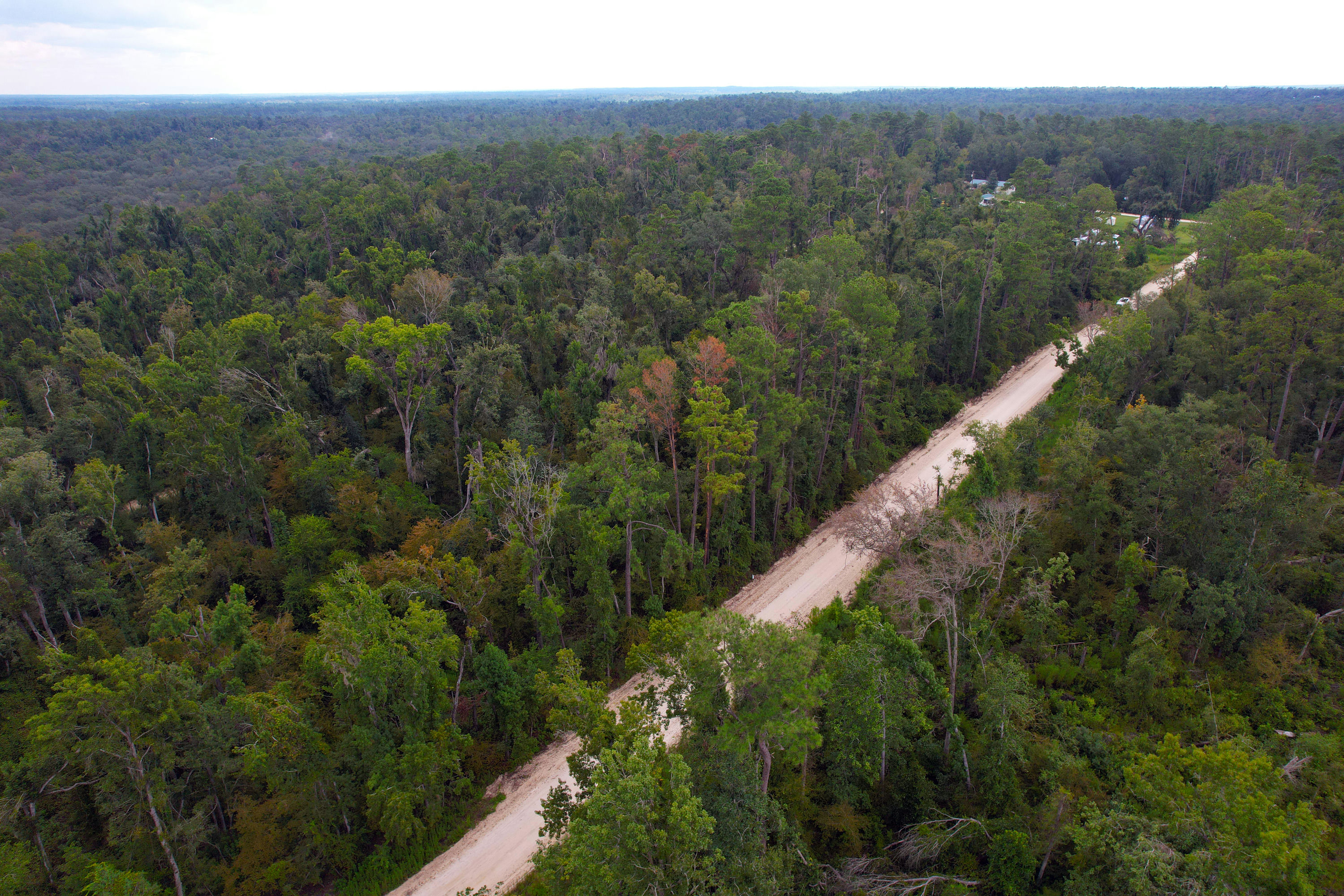 DJI_0686.jpg