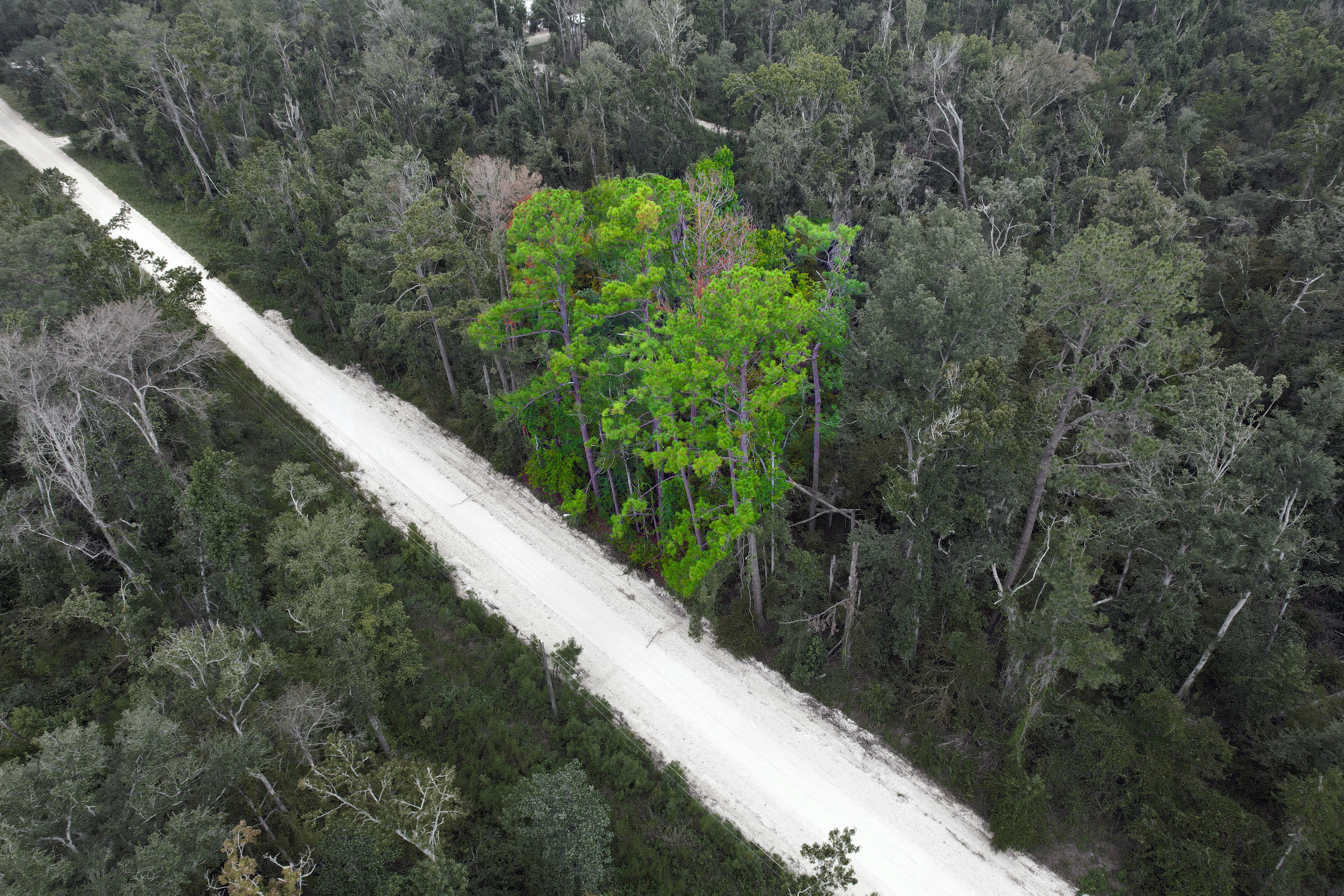 DJI_0689 washout.jpg