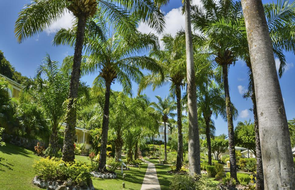 Blue-Horizons-Garden-Resort-14.jpg