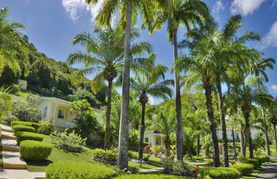 Blue-Horizons-Garden-Resort-11.jpg