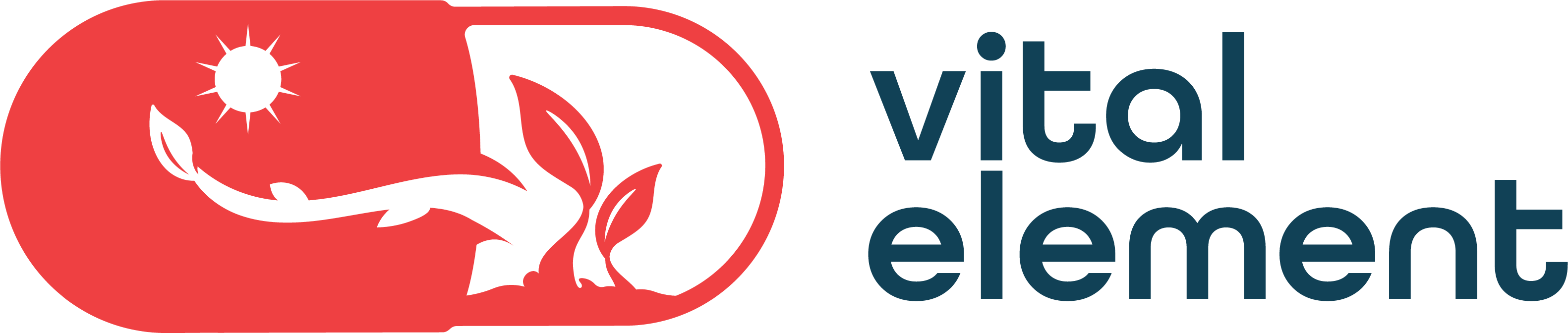 Vital Element