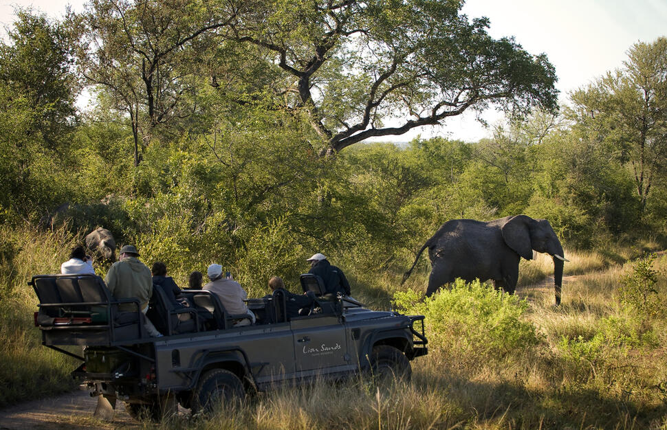 Lion-Sands-Sabi-River-and-Ivory-Lodges-12.jpg