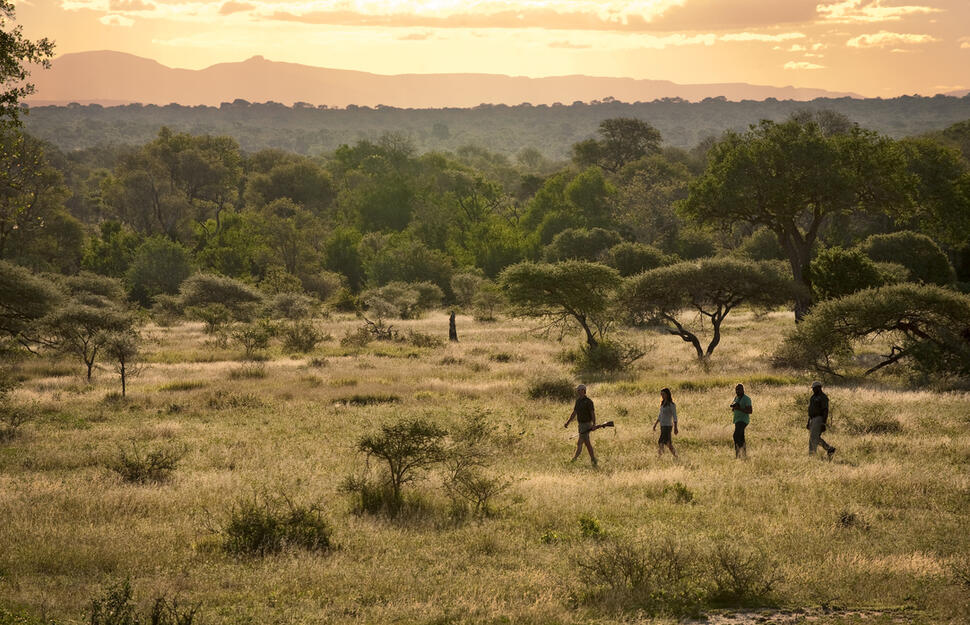 Lion-Sands-Sabi-River-and-Ivory-Lodges-9.jpg