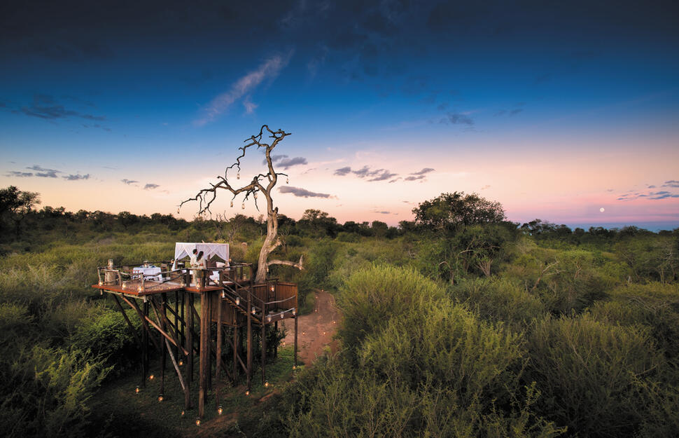 Lion-Sands-Sabi-River-and-Ivory-Lodges-15.jpg