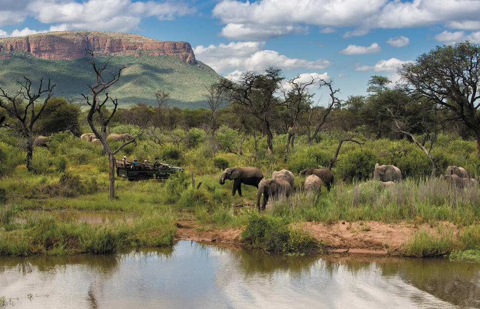 Marataba-Safari-Lodge-6.jpg