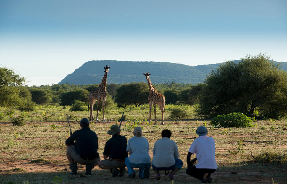 Madikwe-Safari-Lodge-13.jpg