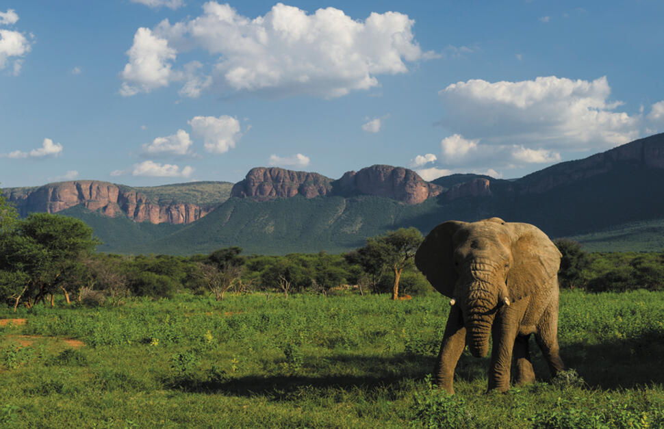 Marataba-Safari-Lodge-3.jpg