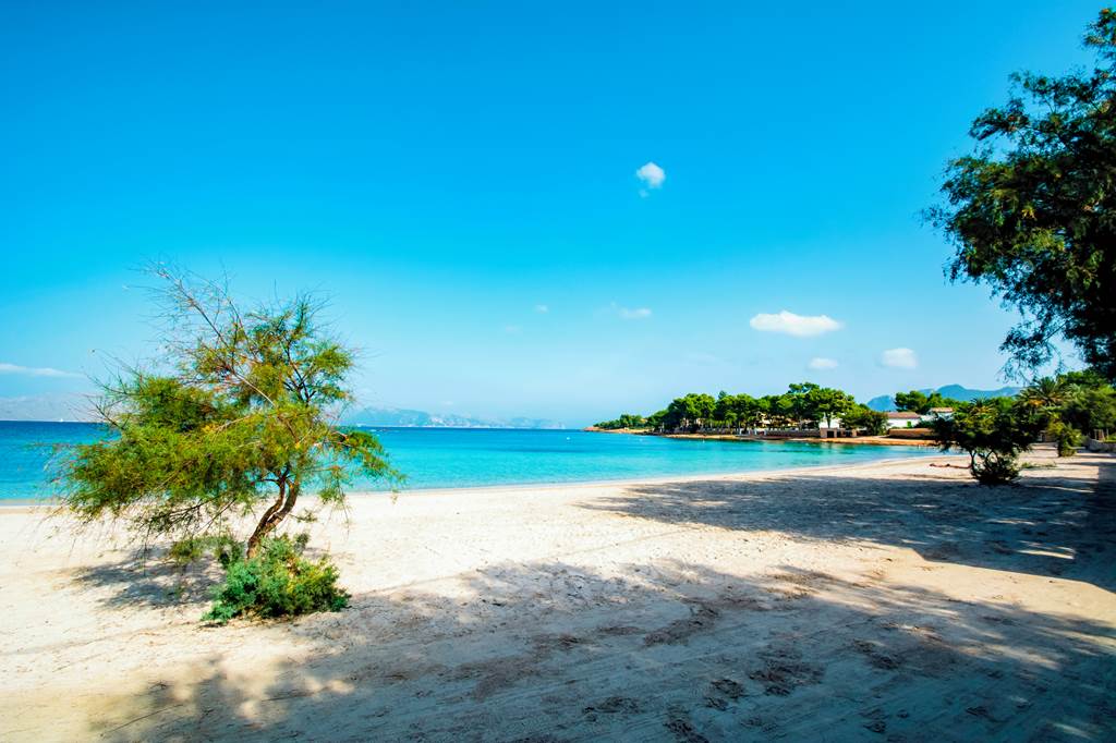 XXX_81168_Hotel__More_Alcudia_1019_10.jpg