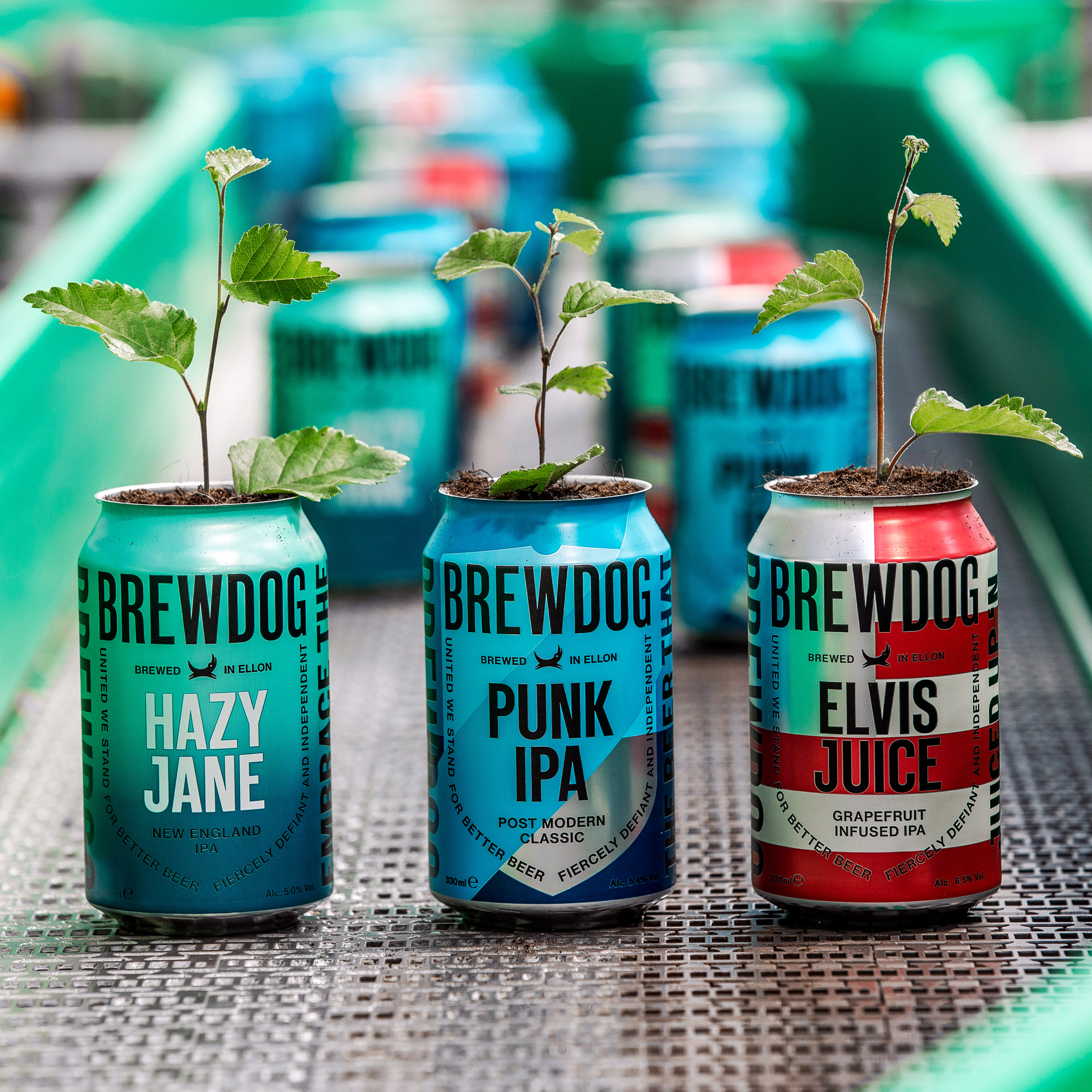 BrewDog